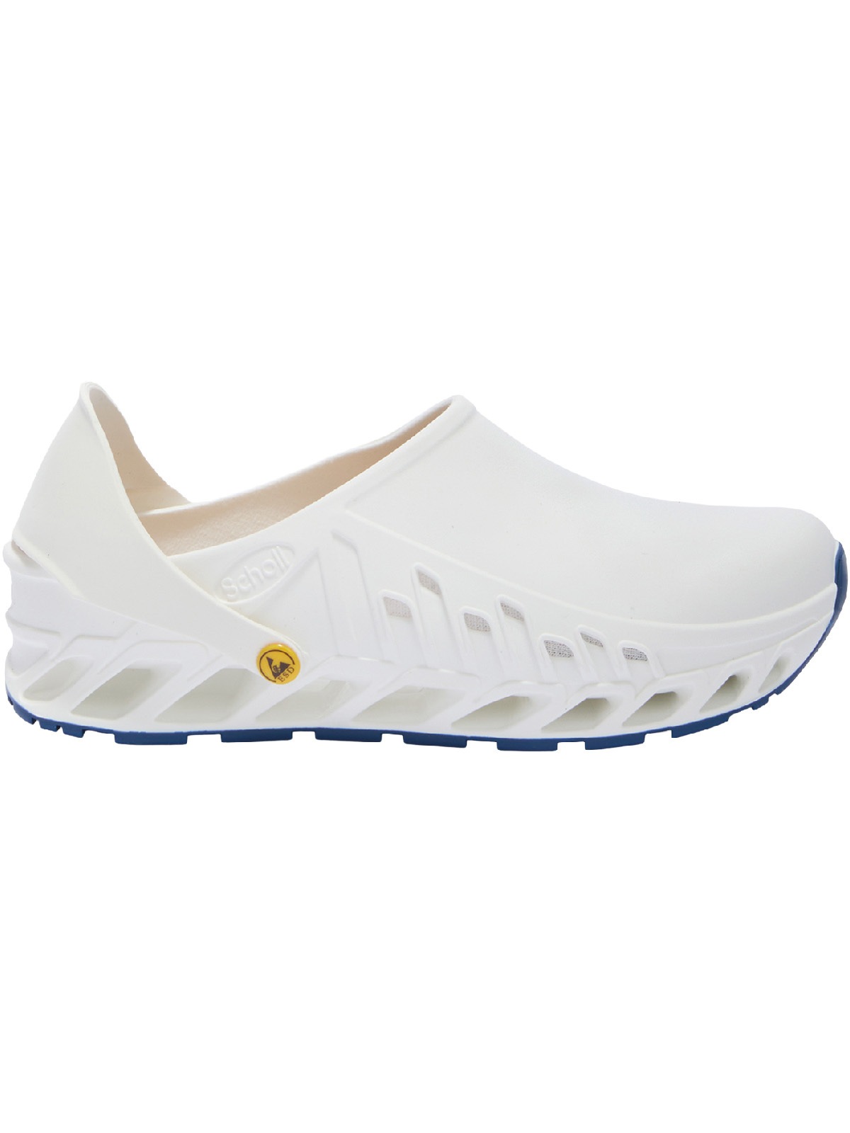 Scholl Clog »Evoflex«
