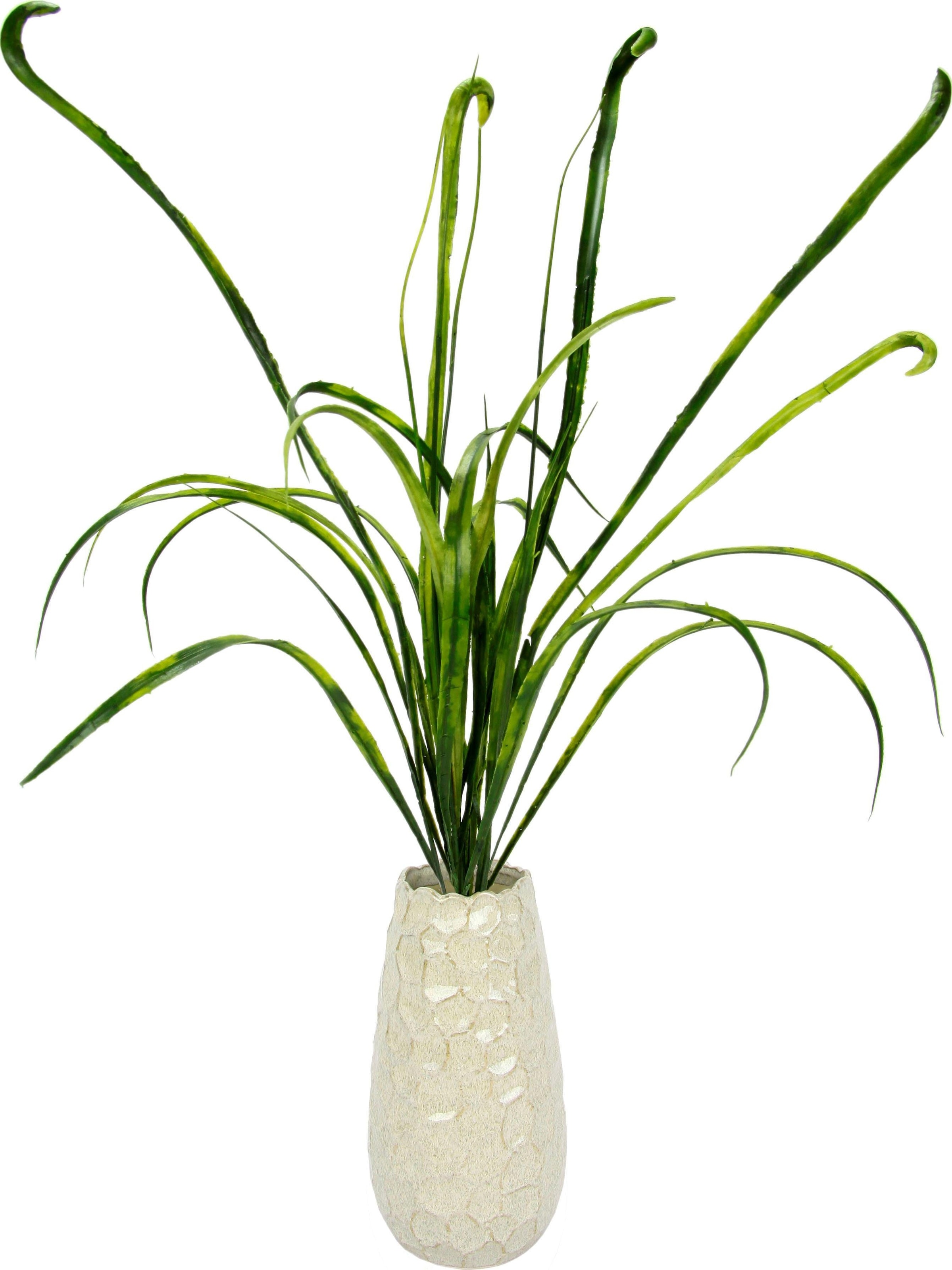 I.GE.A. Kunstgras »Grasbusch«, Rechnung Vase auf kaufen in