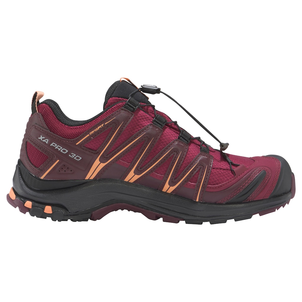 Salomon Laufschuh »XA PRO 3D Gore-Tex W«, wasserdicht