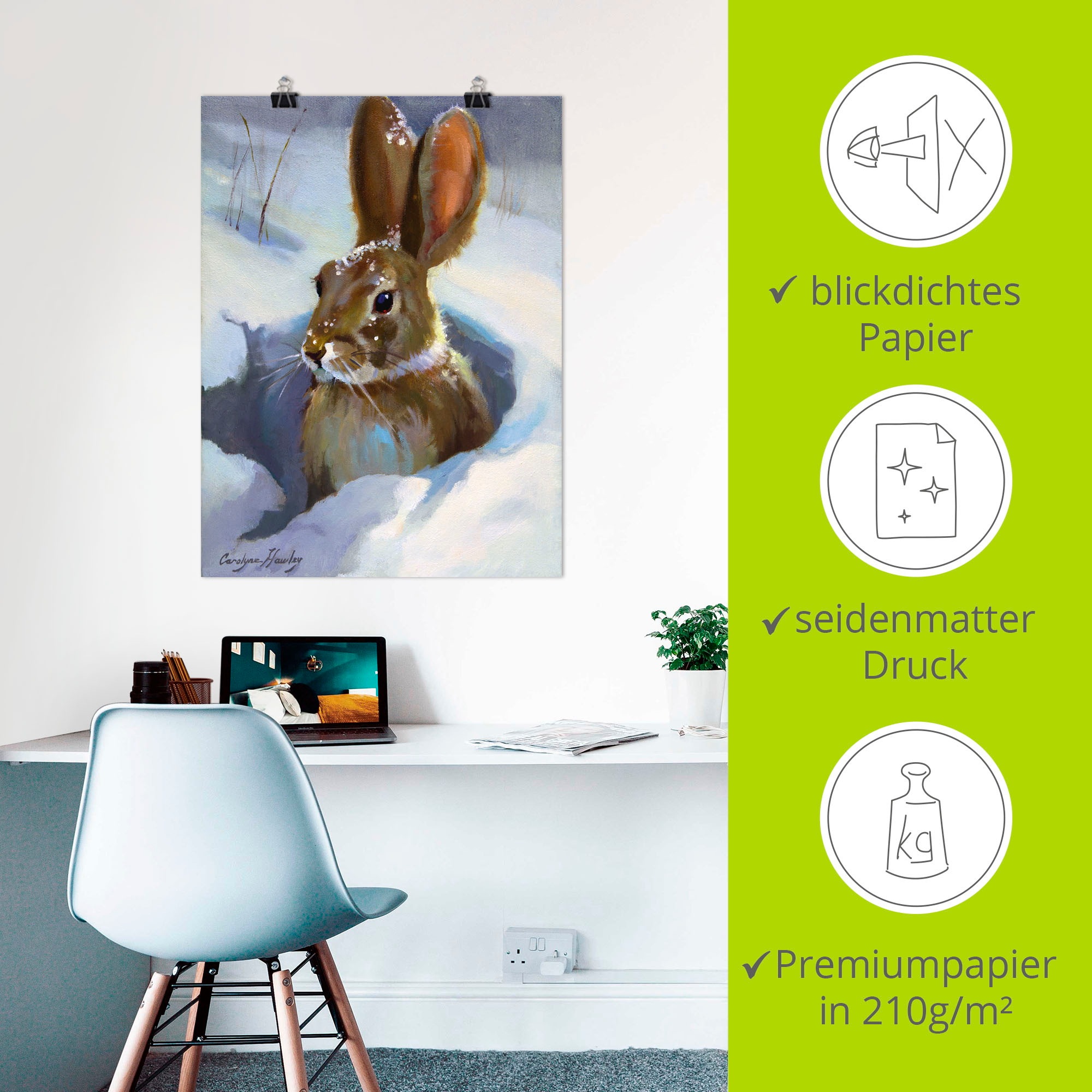 Artland Wandbild »Schneehase«, Wildtiere, (1 St.), als Leinwandbild, Poster in verschied. Größen