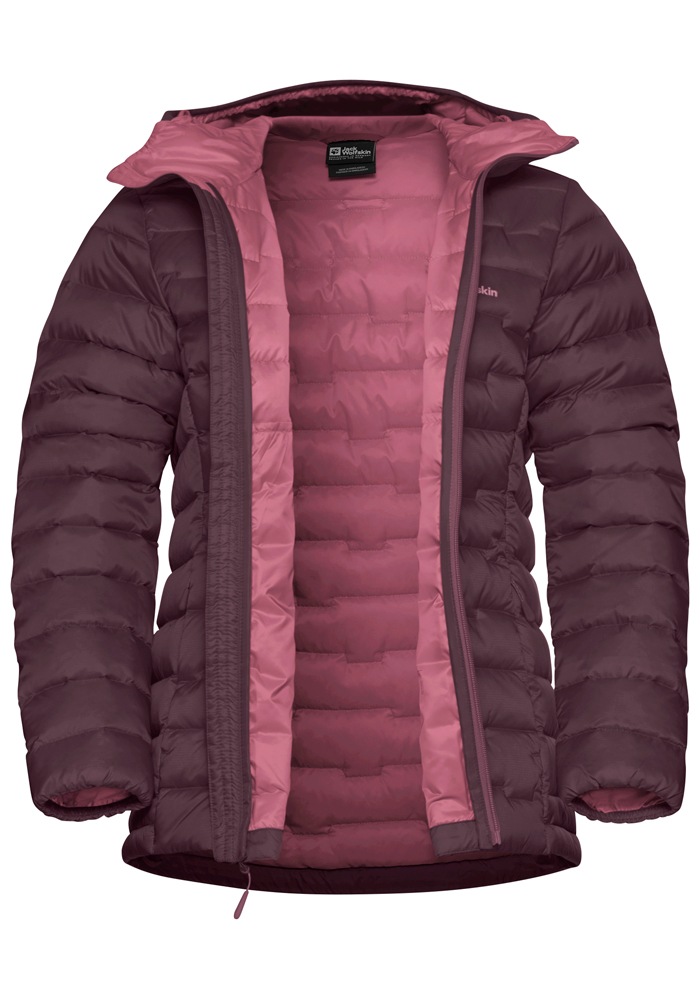 Jack Wolfskin Daunenjacke »PASSAMANI DOWN HOODY W RDS«, mit Kapuze