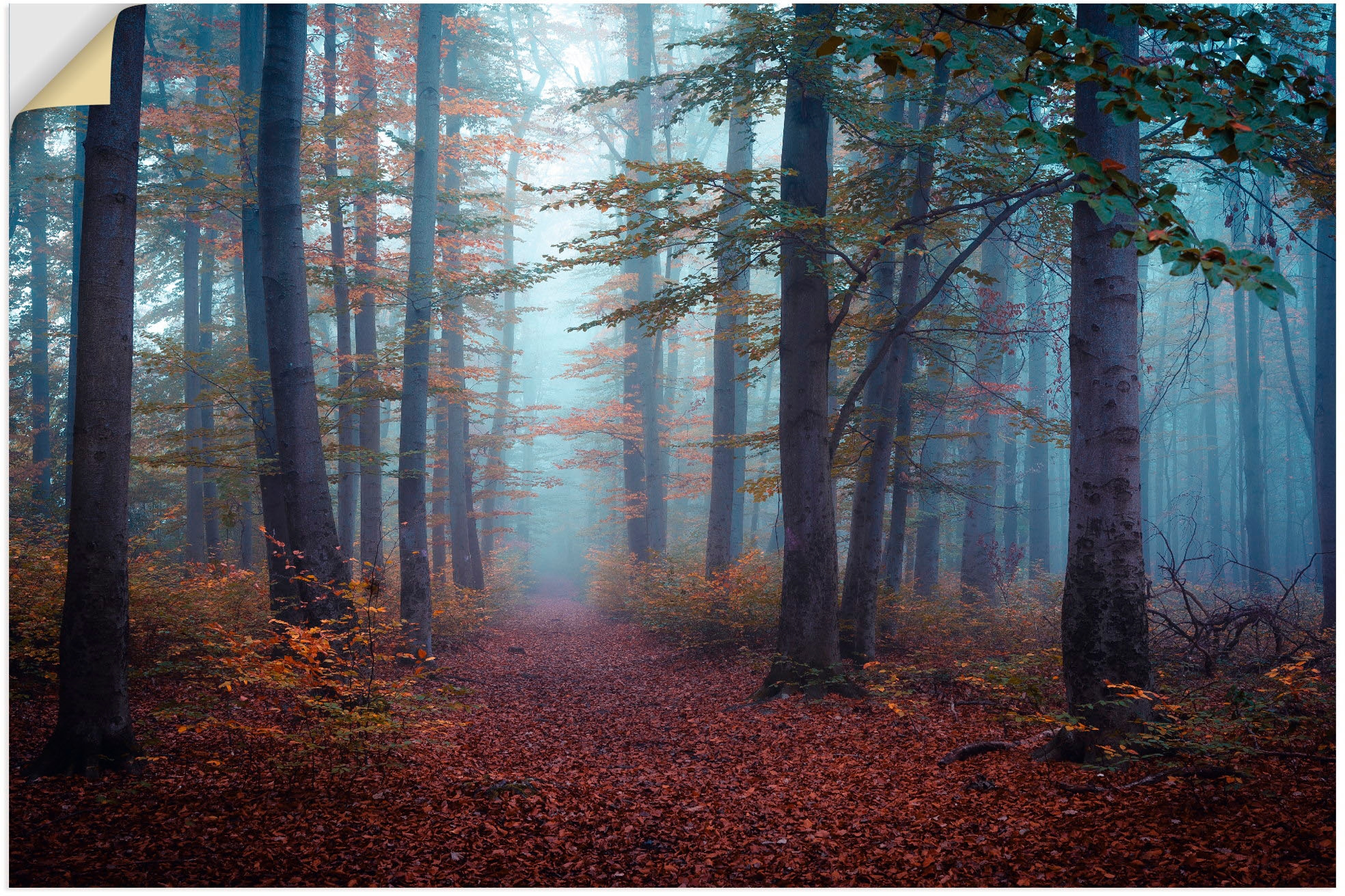 Artland Wandbild »Wald im Nebel«, Waldbilder, (1 St.), als Alubild,  Leinwandbild, Wandaufkleber oder Poster in versch. Größen auf Rechnung  kaufen