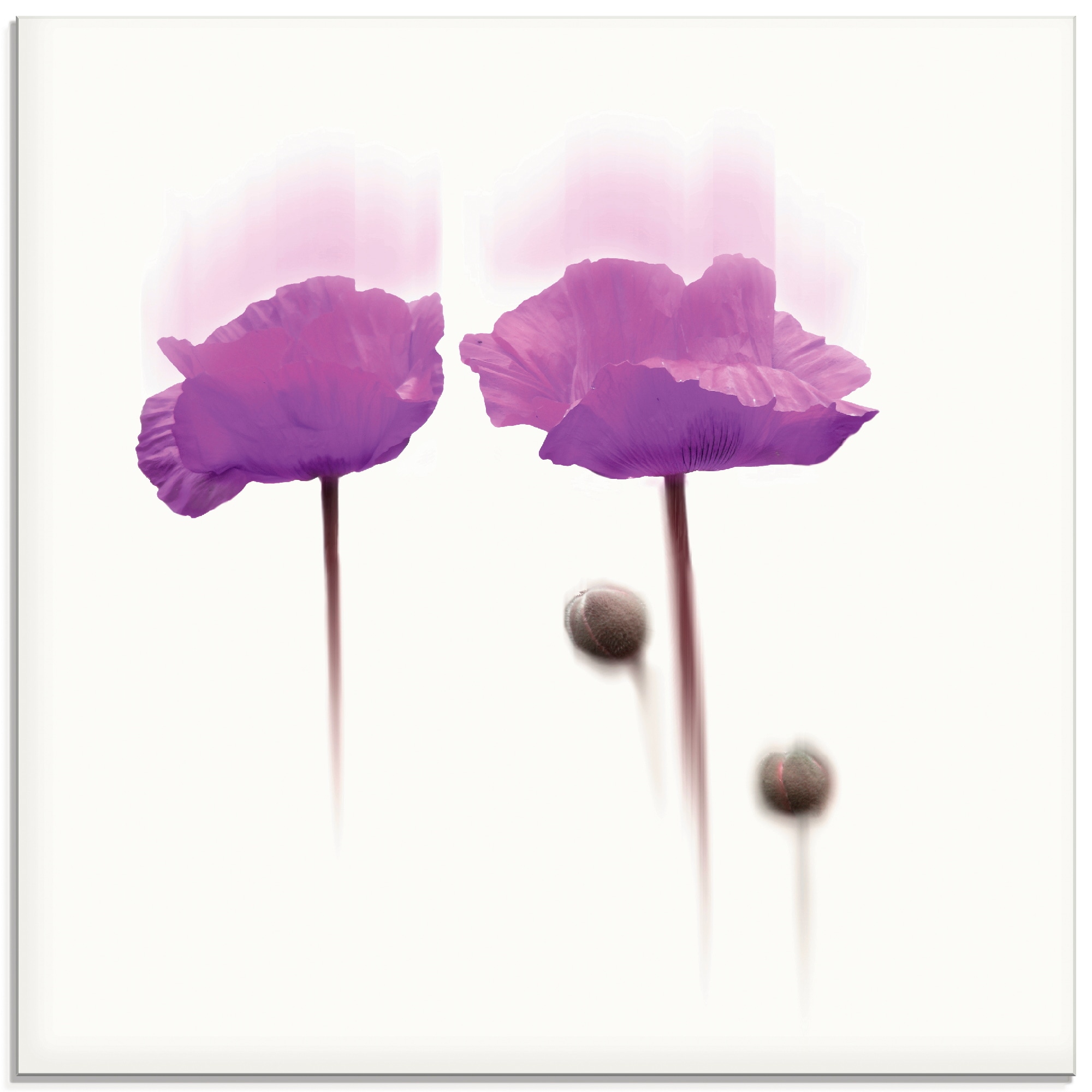 Artland Glasbild »Blüte abstrakt I«, Blumen, (1 St.), in verschiedenen Größen