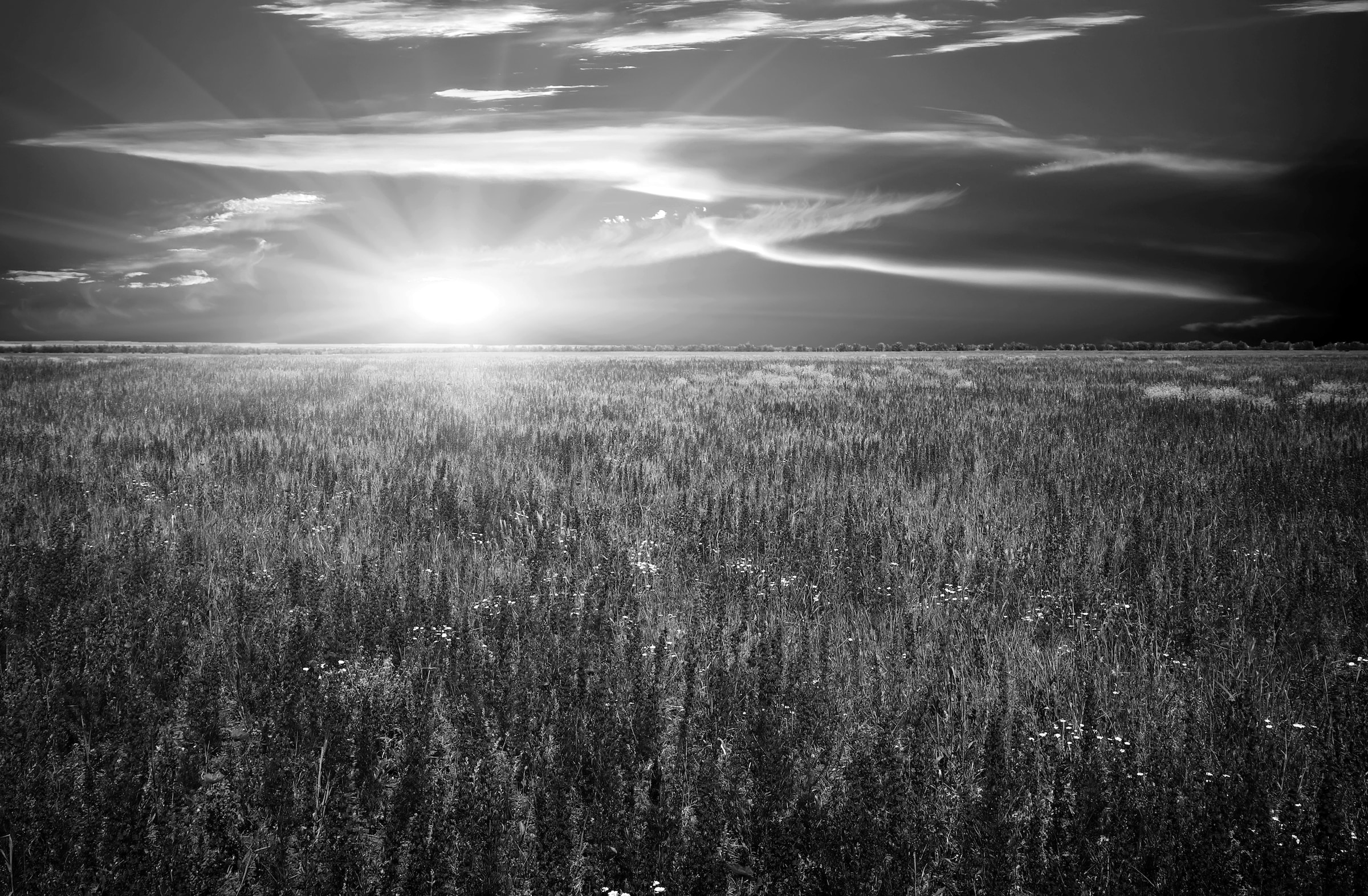 Papermoon Fototapete "Landschaft Schwarz & Weiß"