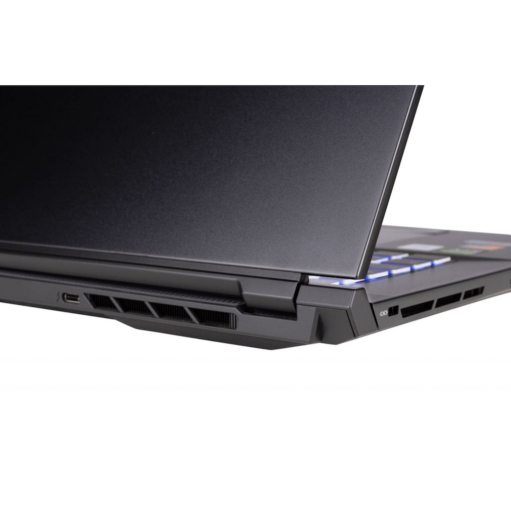 CAPTIVA Gaming-Notebook »Highend Gaming I66-737«, 43,9 cm, / 17,3 Zoll, Intel, Core i7, GeForce RTX 3070, 1000 GB SSD