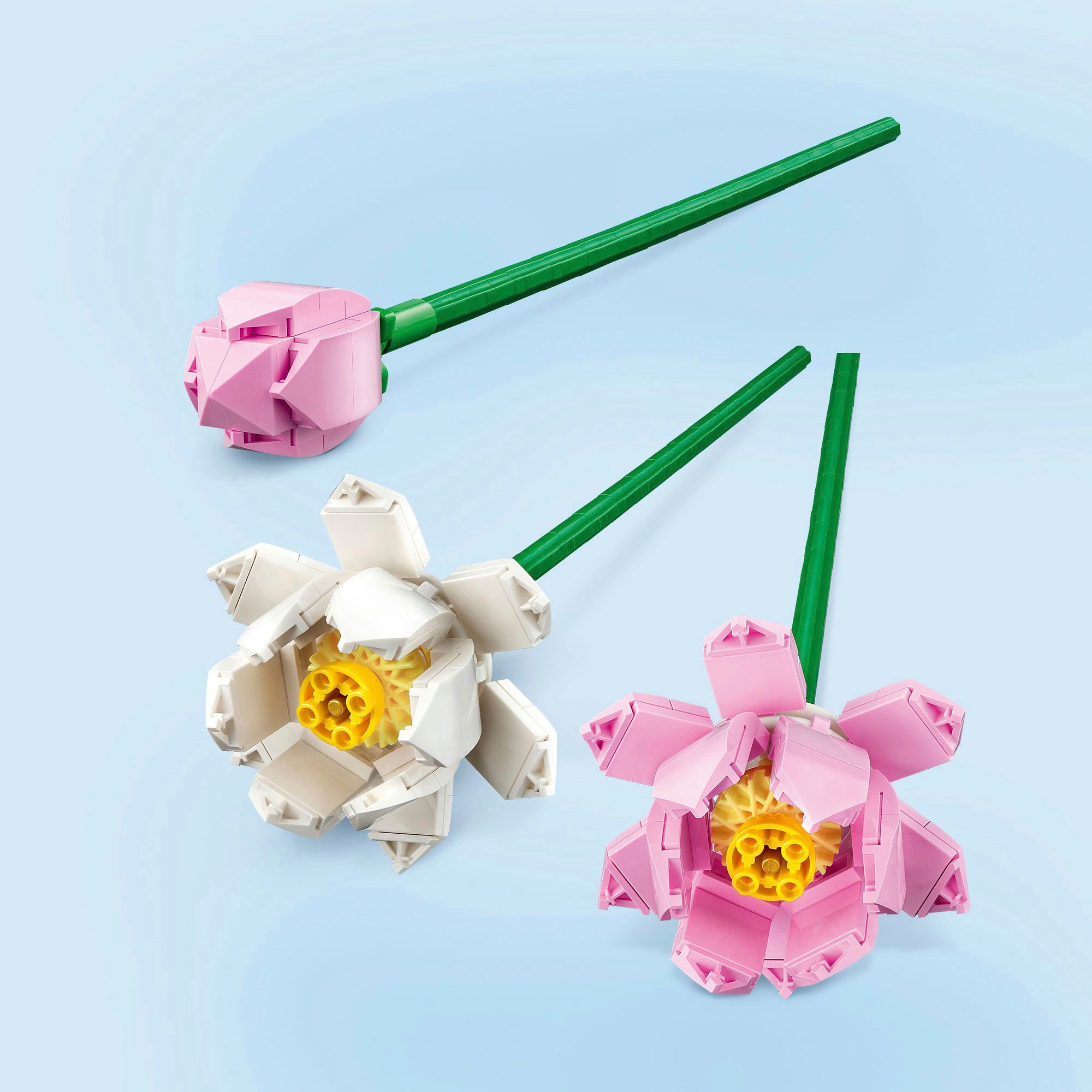 LEGO® Konstruktionsspielsteine »Lotusblumen (40647), Lego Botanicals«, (220 St.), Made in Europe