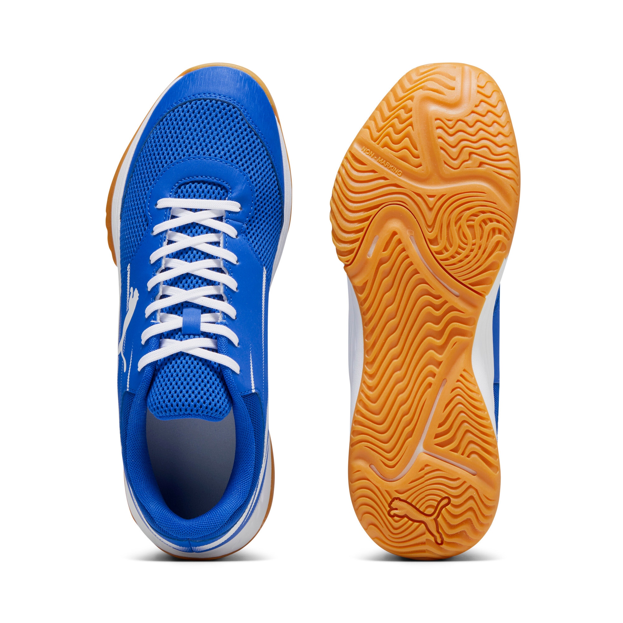 PUMA Hallenschuh »VARION II«