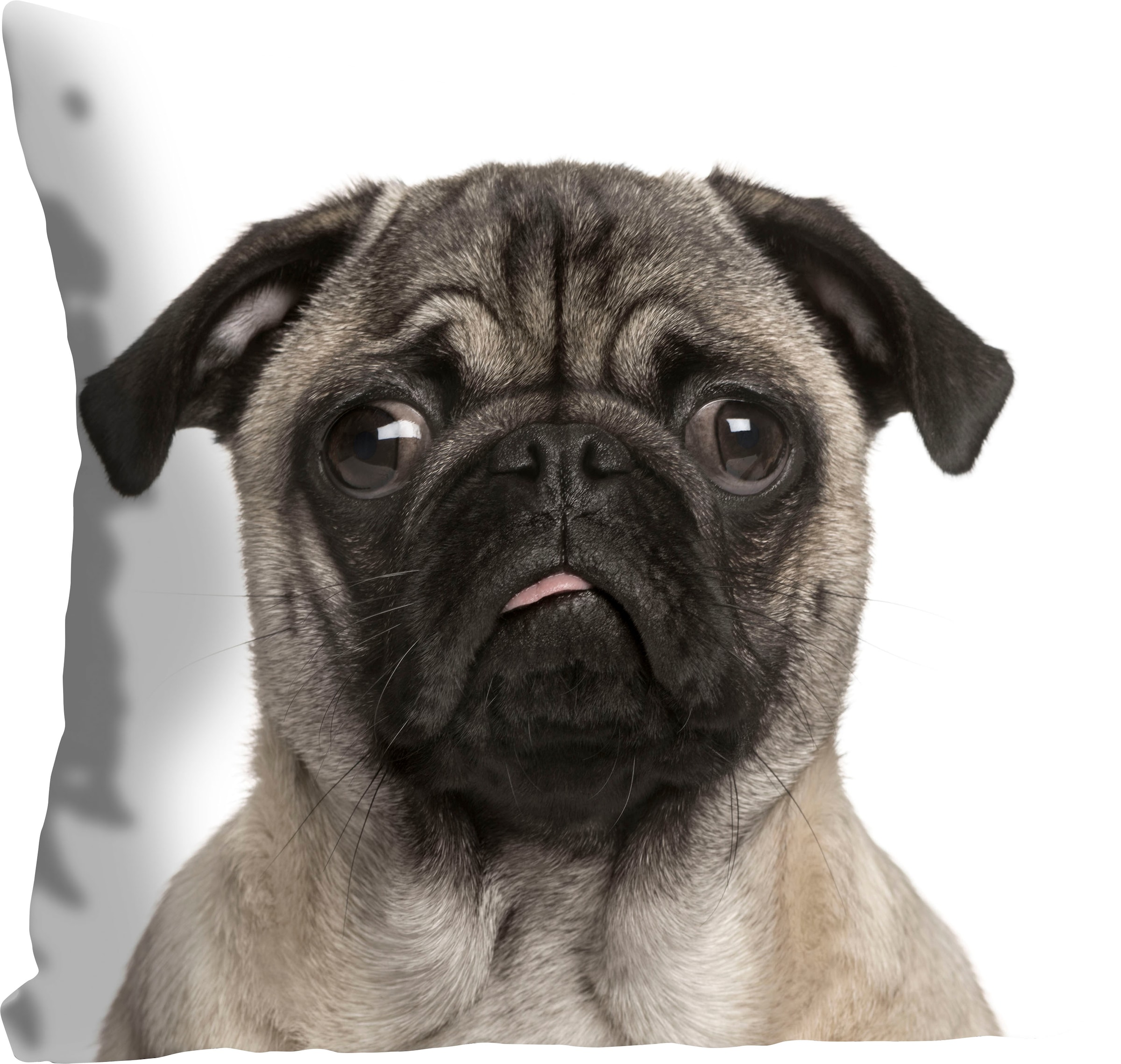 queence Dekokissen »Mops« mit einem Mops