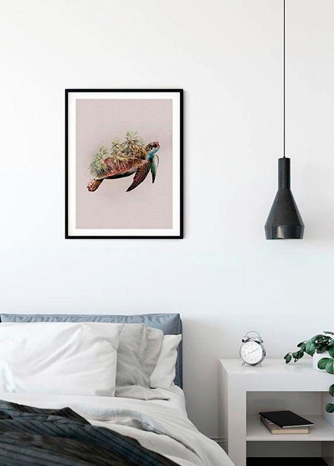 Komar Bild »Animals Paradise Turtle«, Tiere, (1 St.), Wandbild zur Dekoration - ohne Rahmen