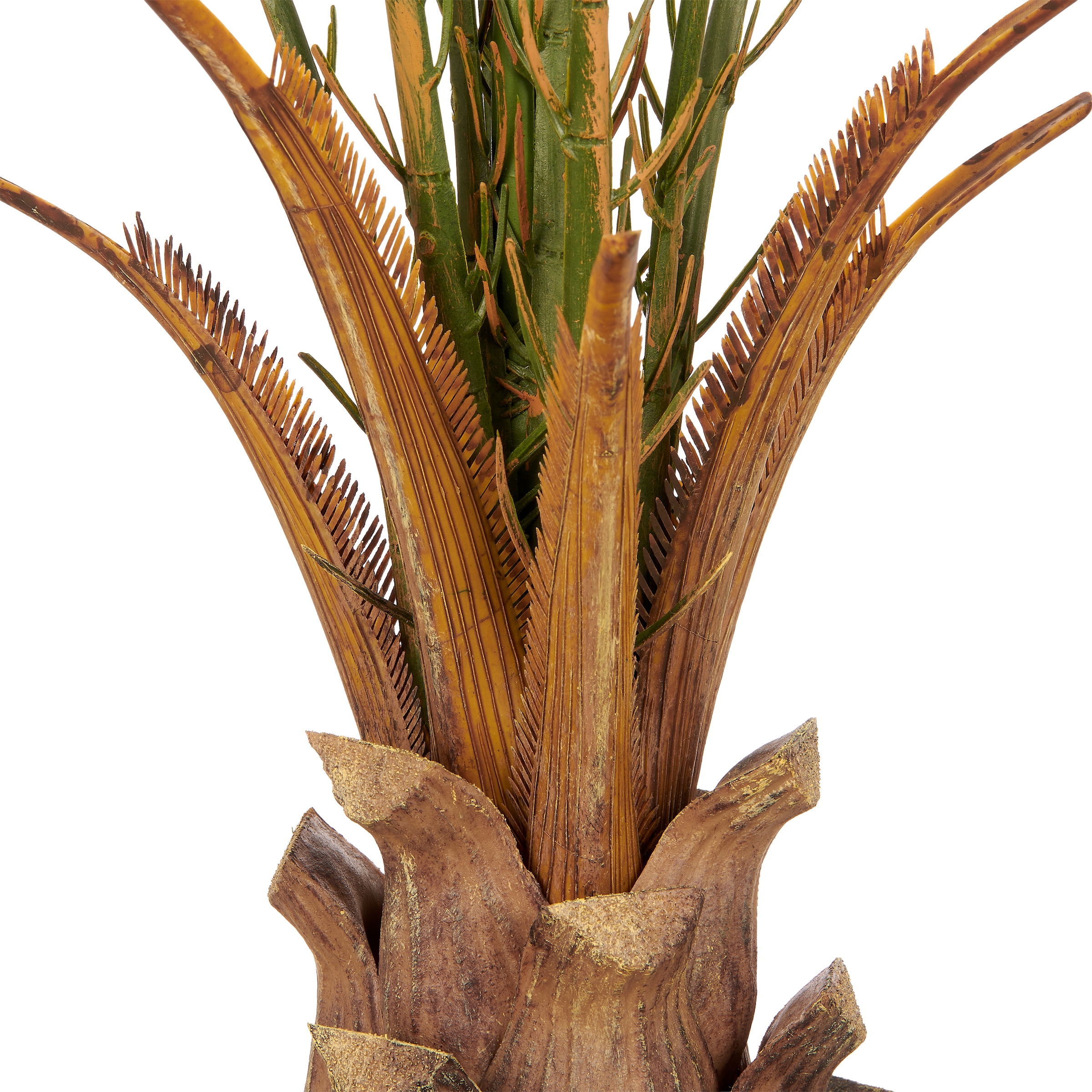 Creativ green Kunstpalme »Phoenixpalme roebelenii« mit naturgetreuen Palmwedeln