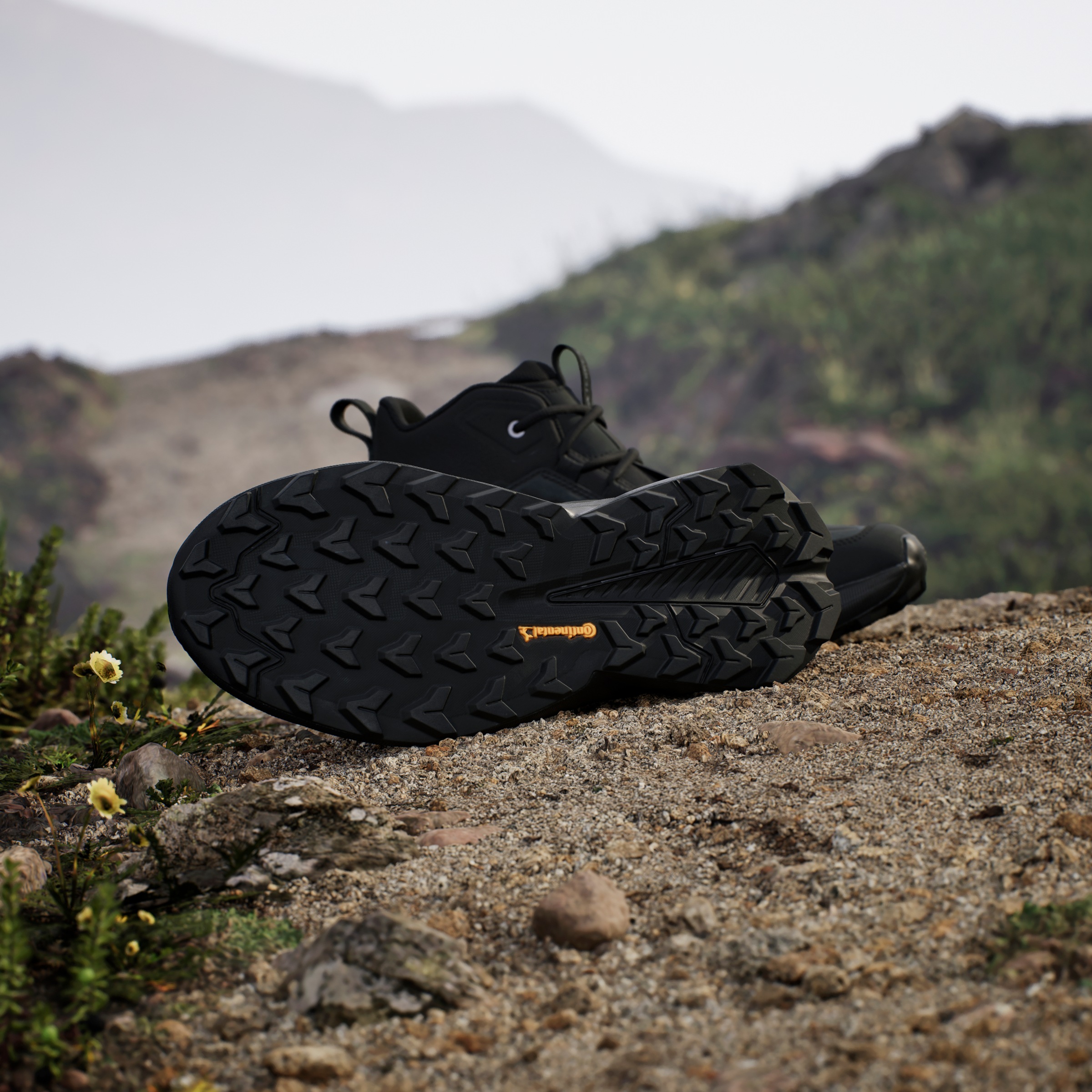 adidas TERREX Wanderschuh »TERREX TRAILMAKER 2.0 LEATHER«, aus Leder