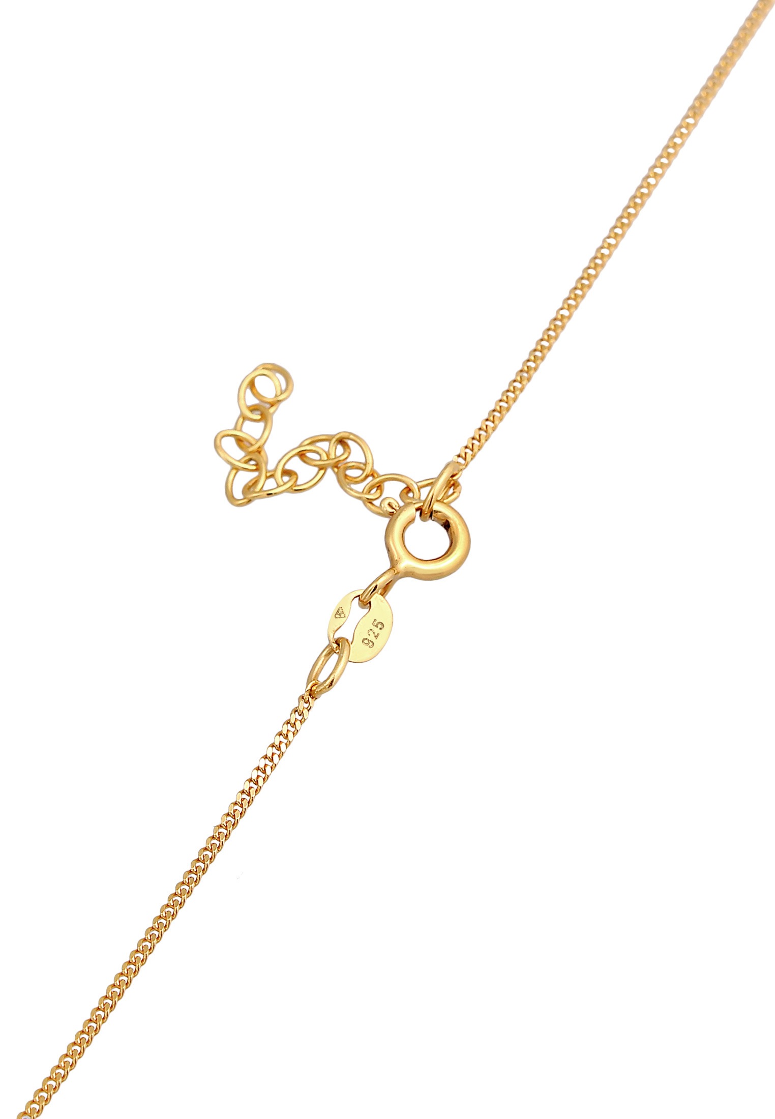 Elli Choker »Halskette Choker Schlange Snake 925 Silber«