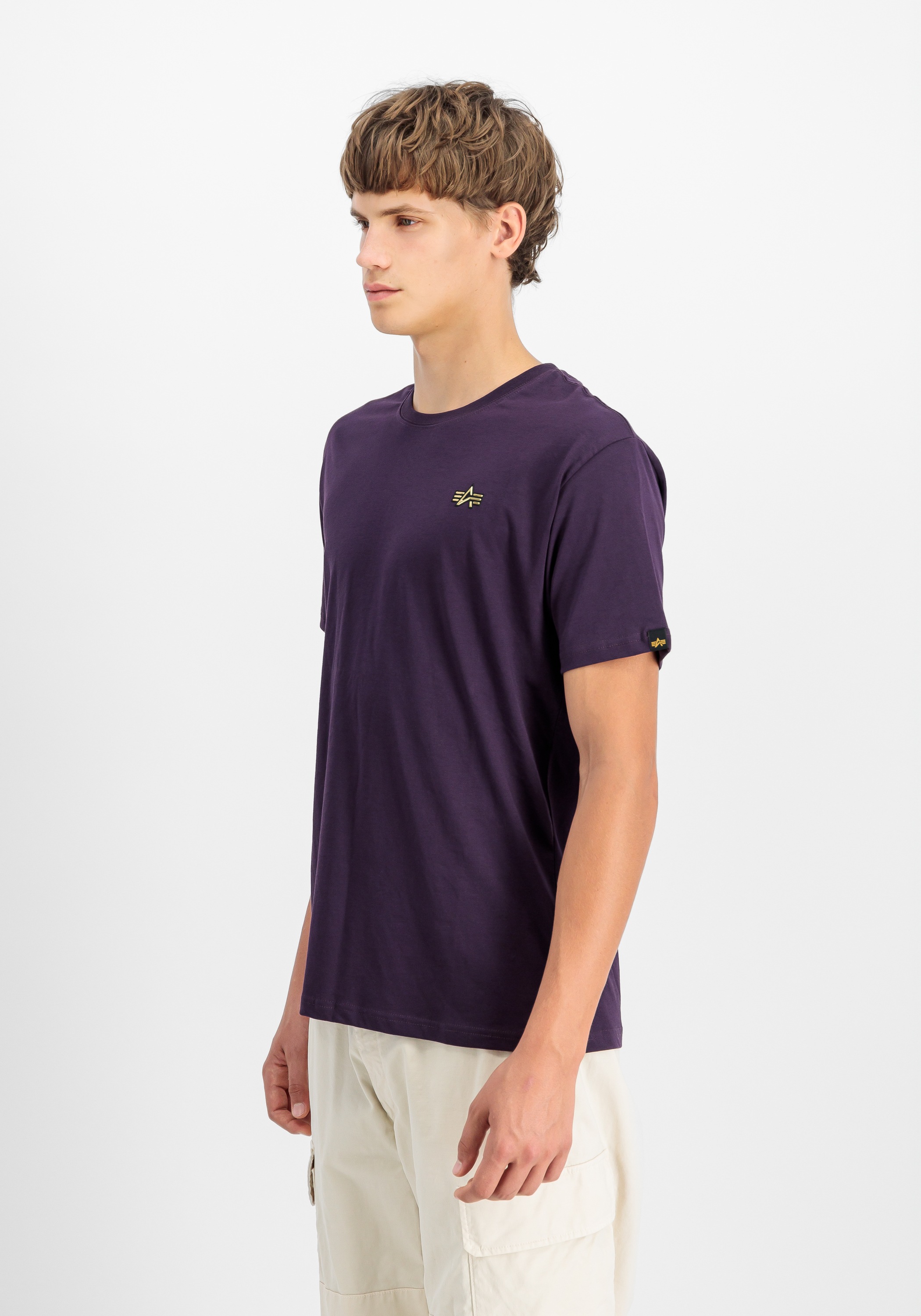 Alpha Industries T-Shirt »Alpha Industries Men - T-Shirts 3D Small Logo T«