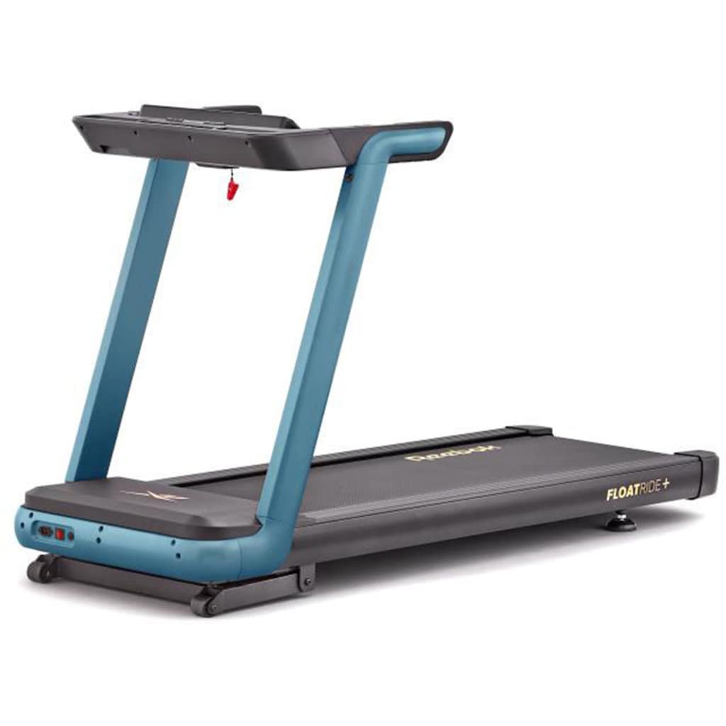 Reebok Laufband »FR30 Floatride«