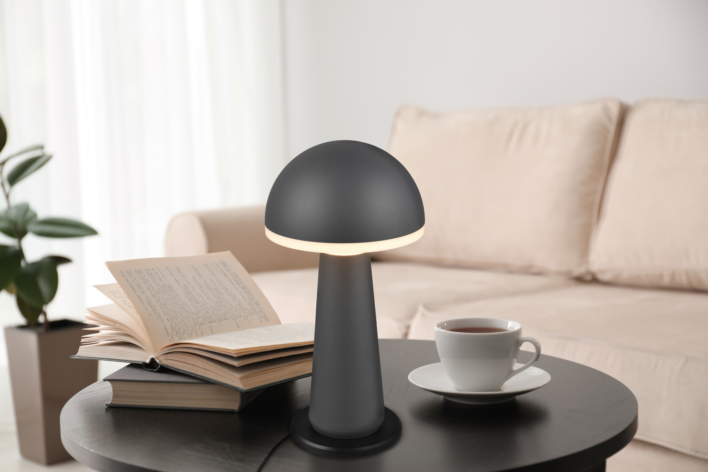 REALITY Leuchten LED Außen-Tischleuchte »FUNGO« LED-Board 1 Stk. warmweiß - kaltweiß Outdoor Akku Tischlampe inkl Ladestation USB-C, Lichtfarbe einstellbar