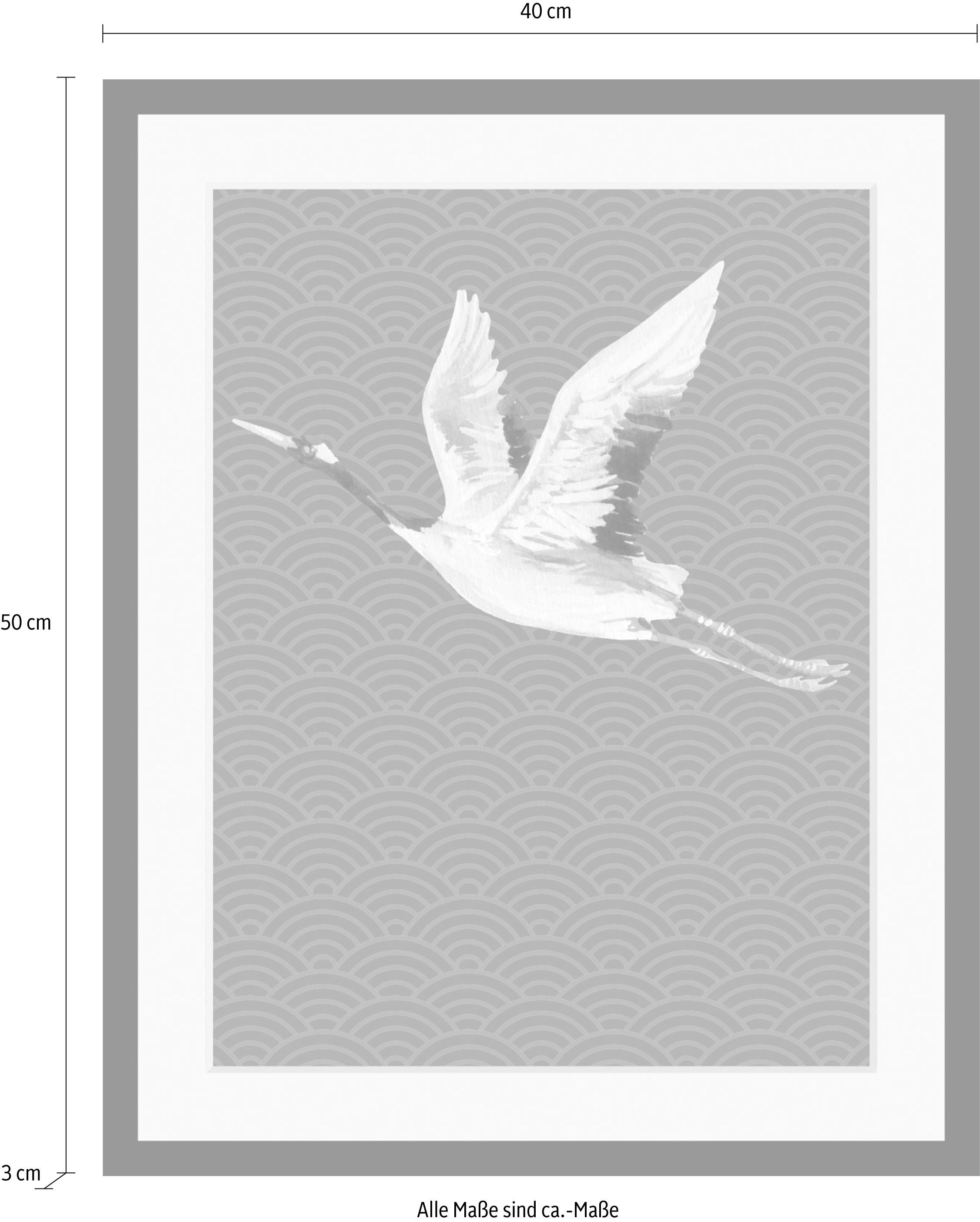 queence Bild »Kranich« Tiere | Vogelbilder | Vögel HD Premium Poster-Druck inkl. Holzrahmen