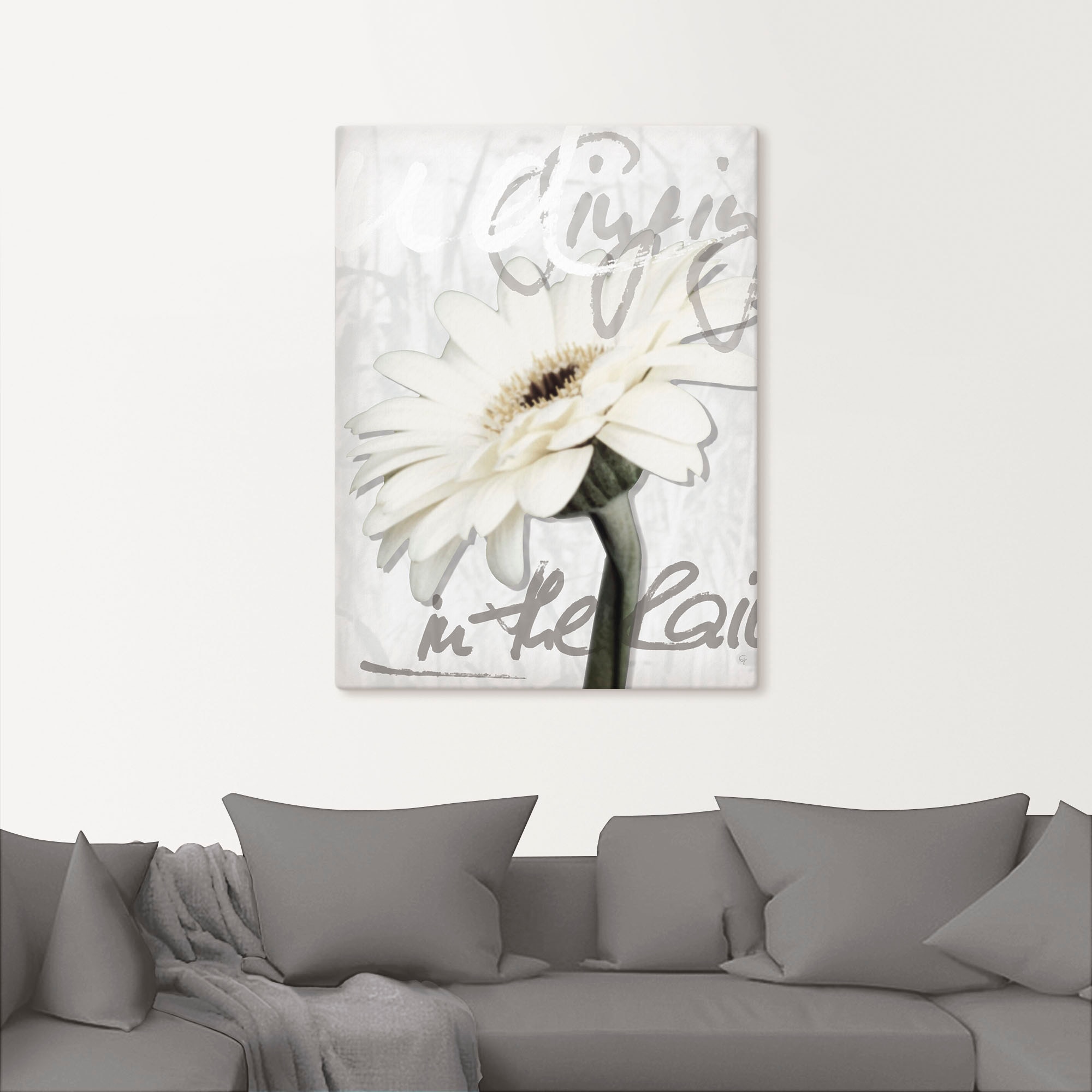 Artland Wandbild »Gerbera«, Blumenbilder, (1 St.), als Leinwandbild, Poster, Wandaufkleber in verschied. Größen