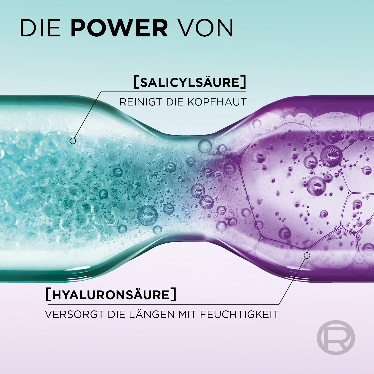 L'ORÉAL PARIS Haarspülung »L'Oréal Paris Elvital Hydra Hyaluronic Pure Spülung«, (Packung, 6 tlg.)