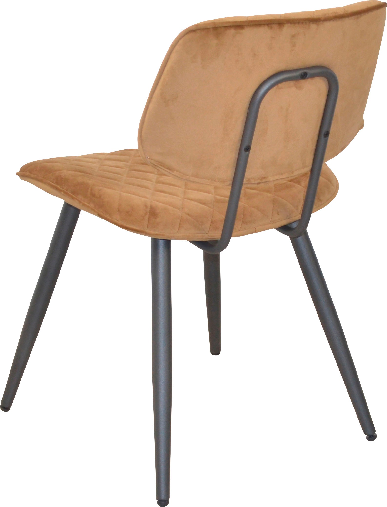 INOSIGN Polsterstuhl, (Set), 1 St., Samtstruktur, Gestell aus Stahlrohr, Sitz und Rücken schaumstoffgepolstert