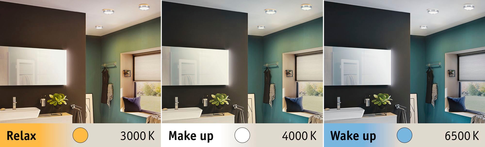 Paulmann LED Deckenleuchte »Aviar«, 1 flammig
