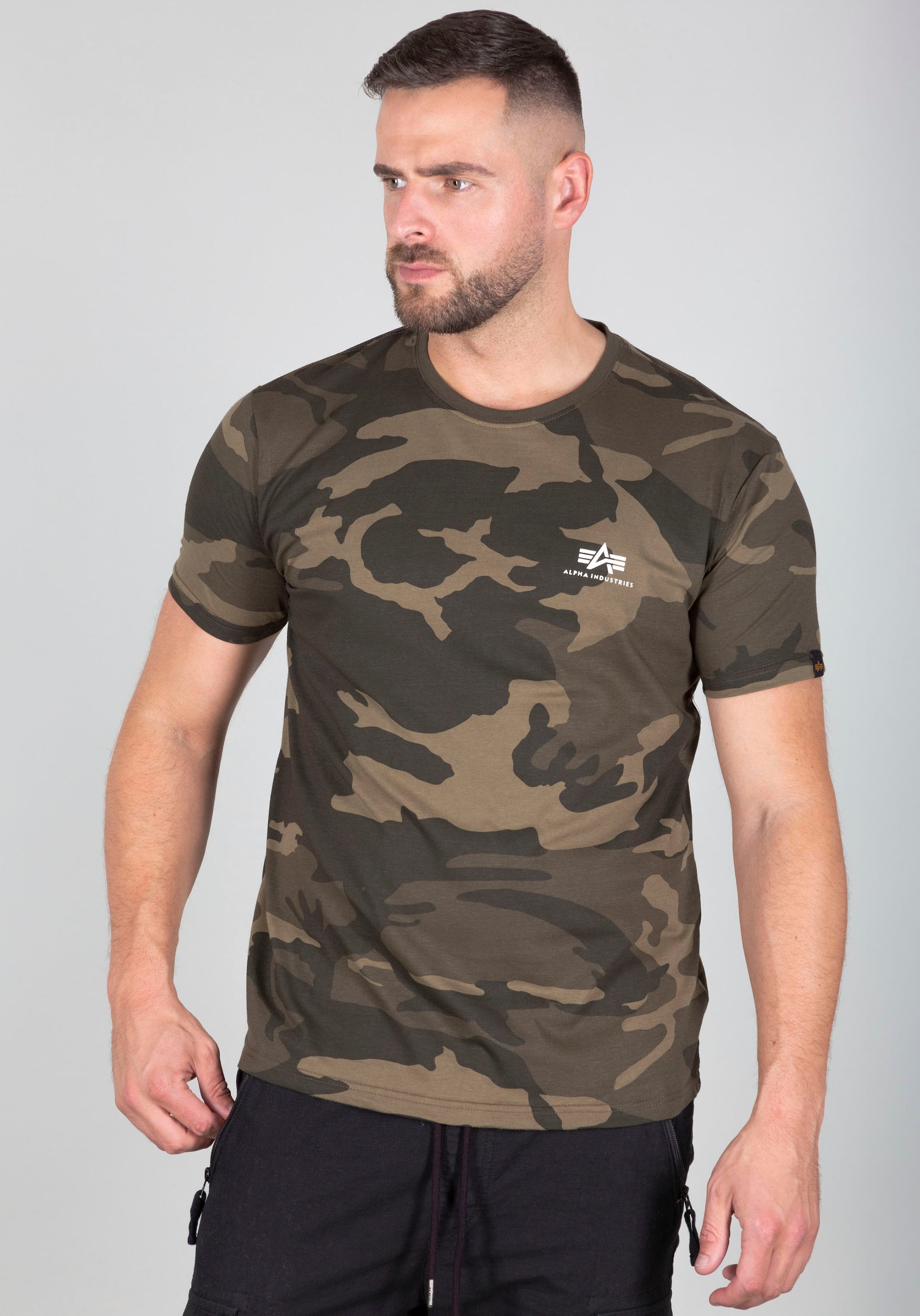 Alpha Industries Rundhalsshirt »BASIC T SMALL LOGO«
