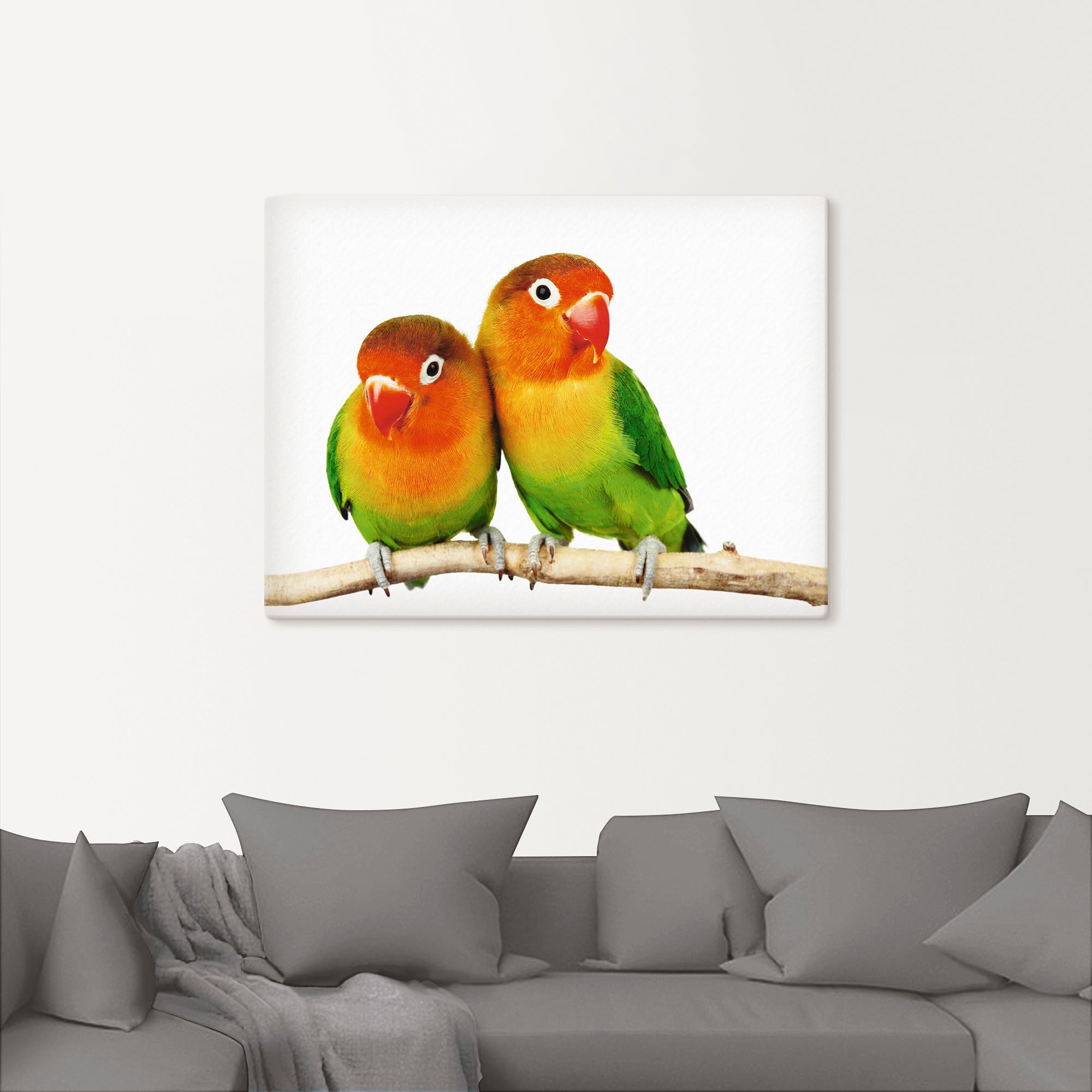 Artland Wandbild »Paar von Grauköpfchen - Papageien«, Vögel, (1 St.), als Leinwandbild, Poster, Wandaufkleber in verschied. Größen