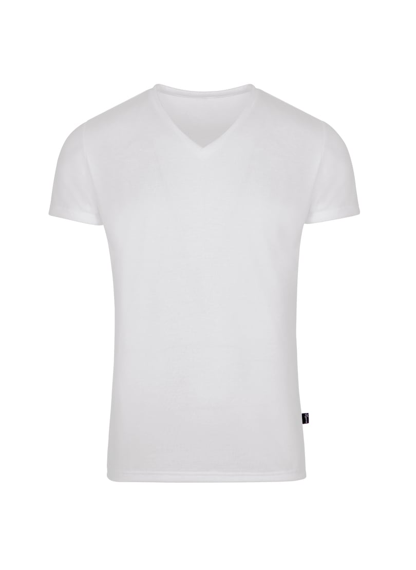 T-Shirt »TRIGEMA V-Shirt aus 100% Lyocell«