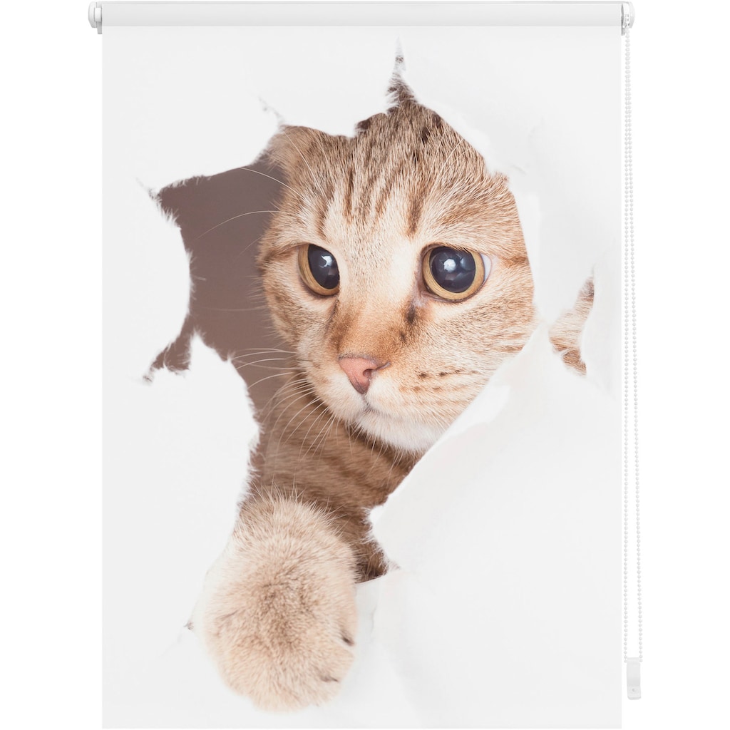 LICHTBLICK ORIGINAL Seitenzugrollo »Klemmfix Digital Katze«, verdunkelnd, energiesparend, ohne Bohren, freihängend