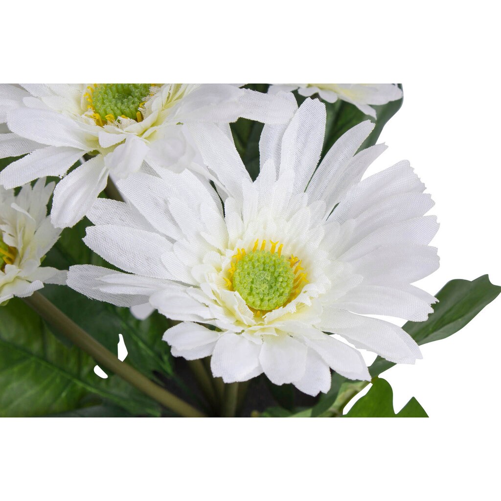 Botanic-Haus Kunstblume »Gerbera mit 5 Blüten«