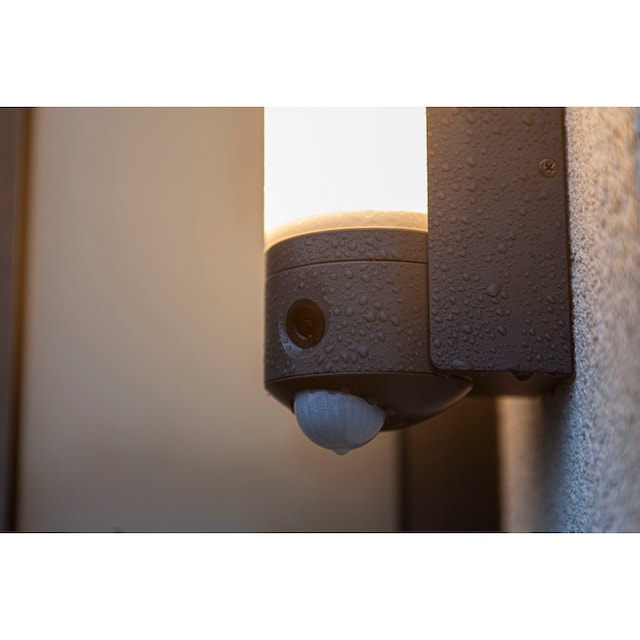 online LED-Leuchte Smarte »POLLUX«, LUTEC Smart-Home Jahren Kameraleuchte mit | Garantie kaufen 3 XXL