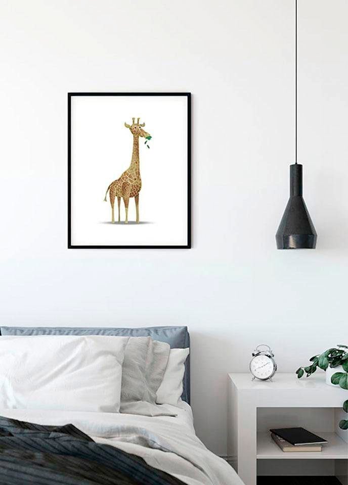 Komar Bild »Cute Animal Giraffe« Tiere 1 Stk. tlg. Wandbild zur Dekoration - ohne Rahmen