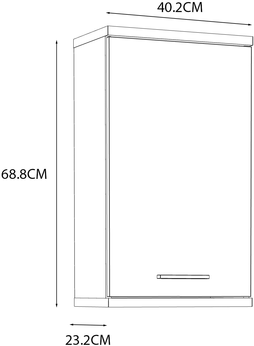 FORTE Hängeschrank »Champ« Hängeschrank, Stauraum, pflegeleichte Oberfläche
