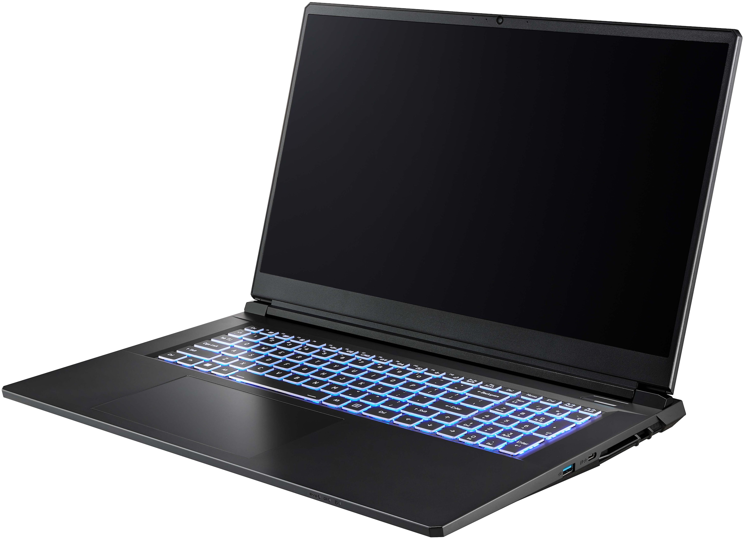 CAPTIVA Gaming-Notebook »Entry Gaming I10-1108GE« 43,9 cm / 17,3 ″ Intel Core i7 GeForce RTX 5060 1.000 GB SSD