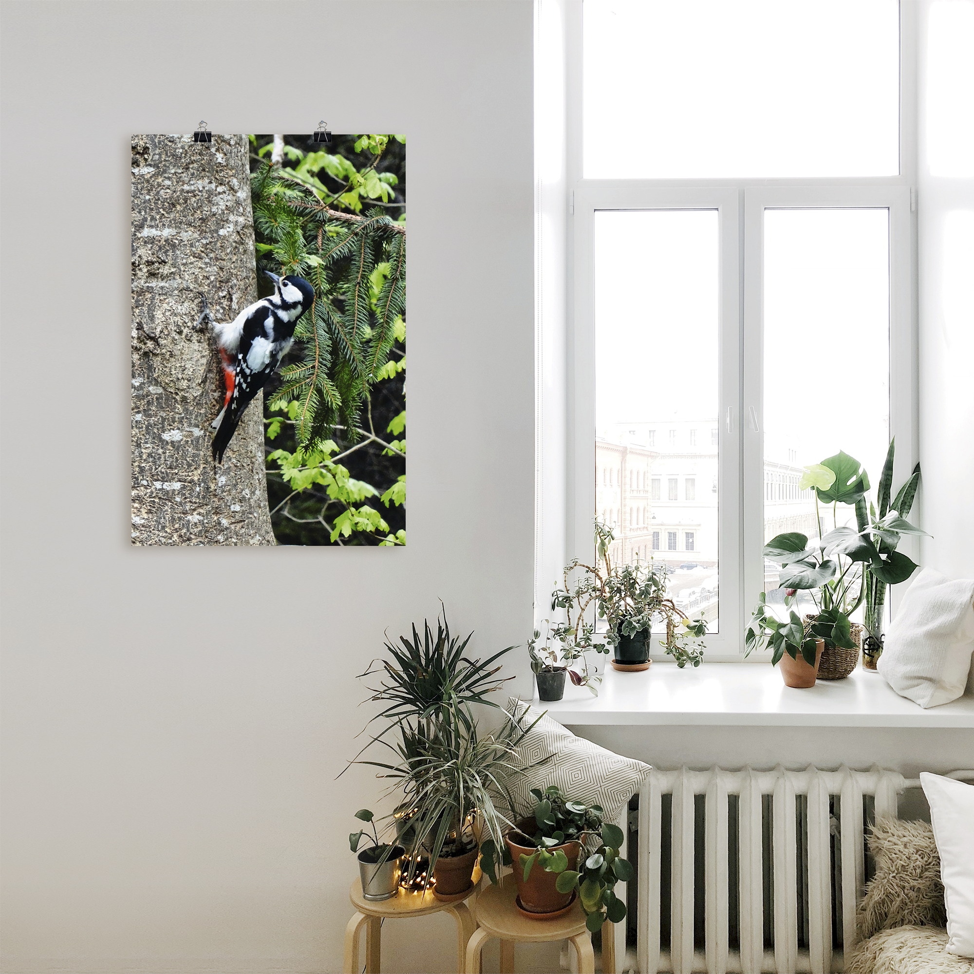 Artland Poster »Buntspecht im Wald« Vögel 1 Stk. tlg. ohne Rahmen