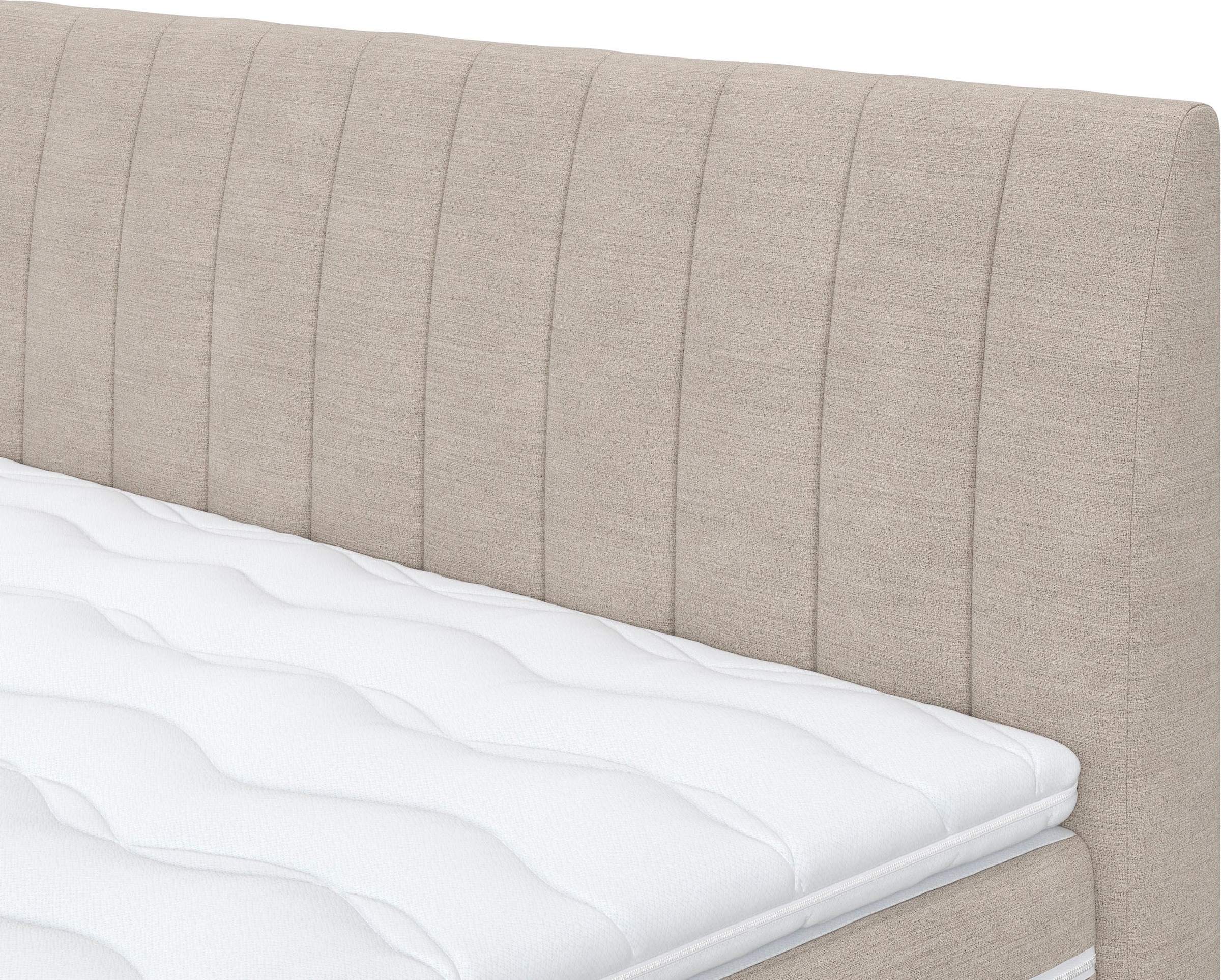 COTTA Boxspringbett »Shark inkl. Bettkasten und Topper«, erhältlich in den Breiten 140x200cm, 160x200cm und 180x200cm