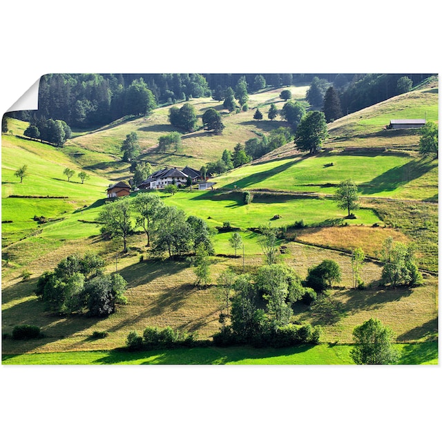 Artland Wandbild »Einsamer Bauernhof«, Berge & Alpenbilder, (1 St.), als  Alubild, Leinwandbild, Wandaufkleber oder Poster in versch. Größen auf  Rechnung kaufen