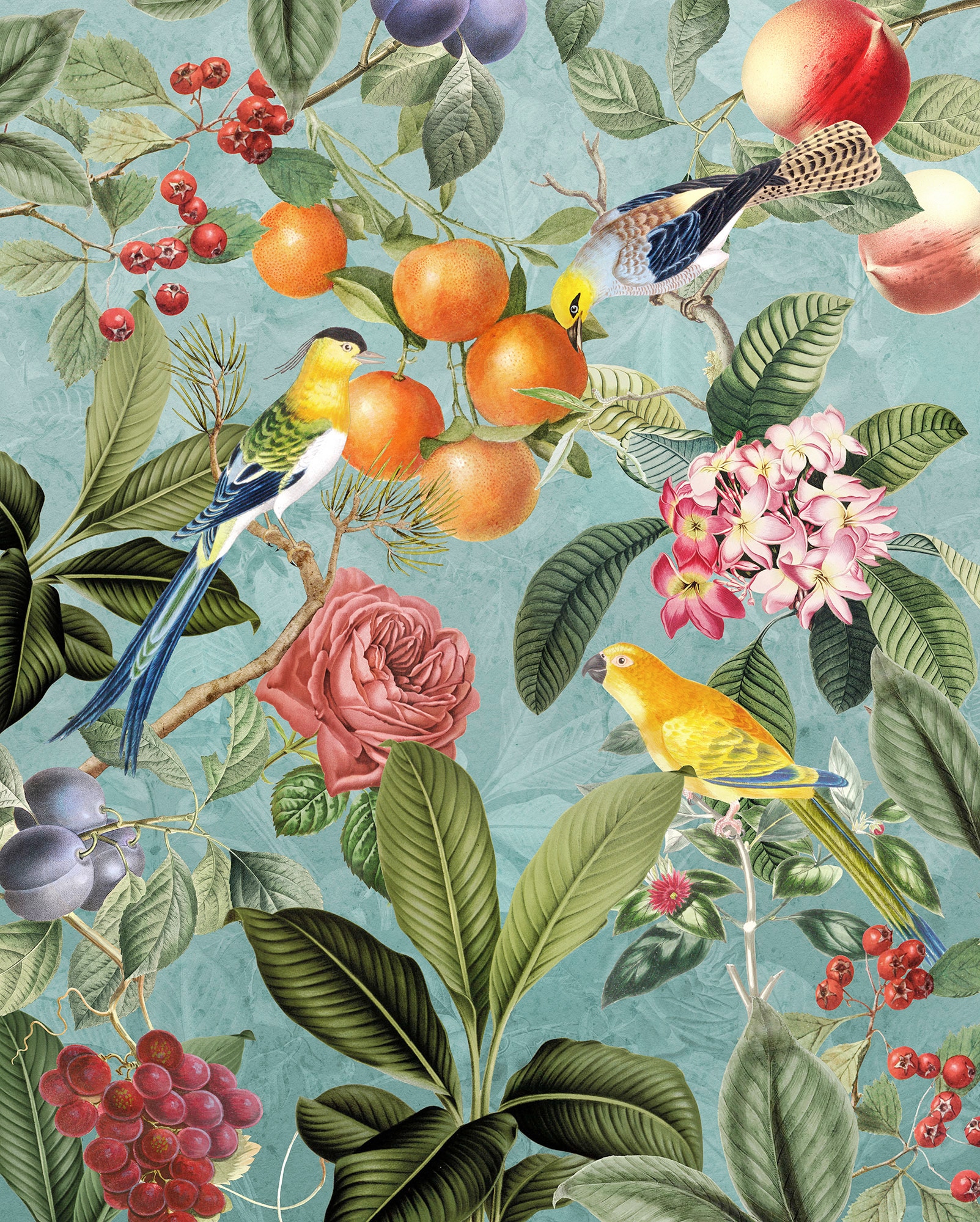 Komar Vliestapete »Birds and Berries«, 200x250 cm (Breite x Höhe) online  kaufen | mit 3 Jahren XXL Garantie