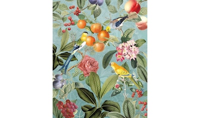 Komar Fototapete »Birds and Berries«, botanisch-tropisch-Motiv, BxL: 200x250 cm, 150... kaufen