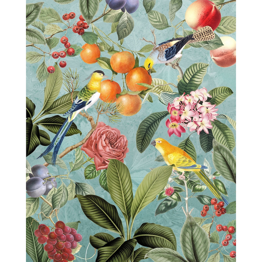 Komar Vliestapete »Birds and Berries«