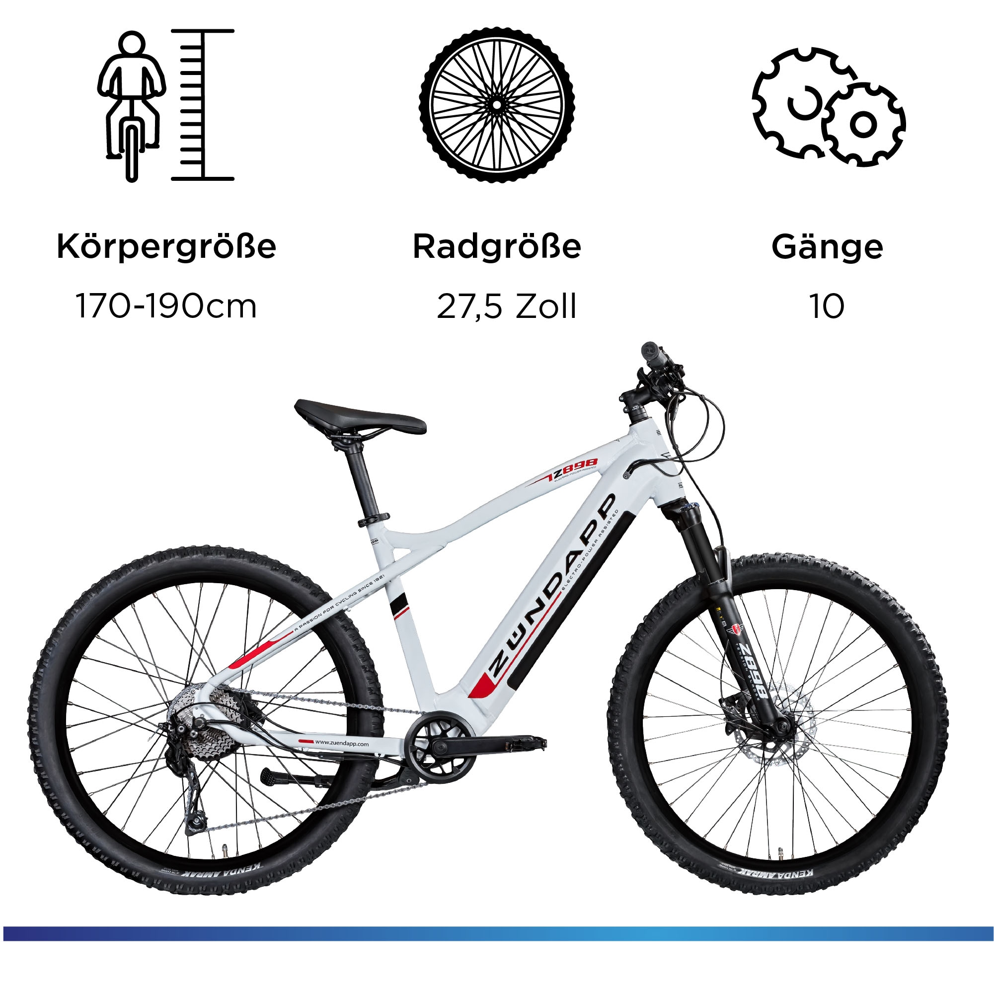 Zündapp »Z898« 10 Gang Kettenschaltung Heckmotor 250 W Pedelec, Elektrofahrrad für Damen u. Herren, MTB
