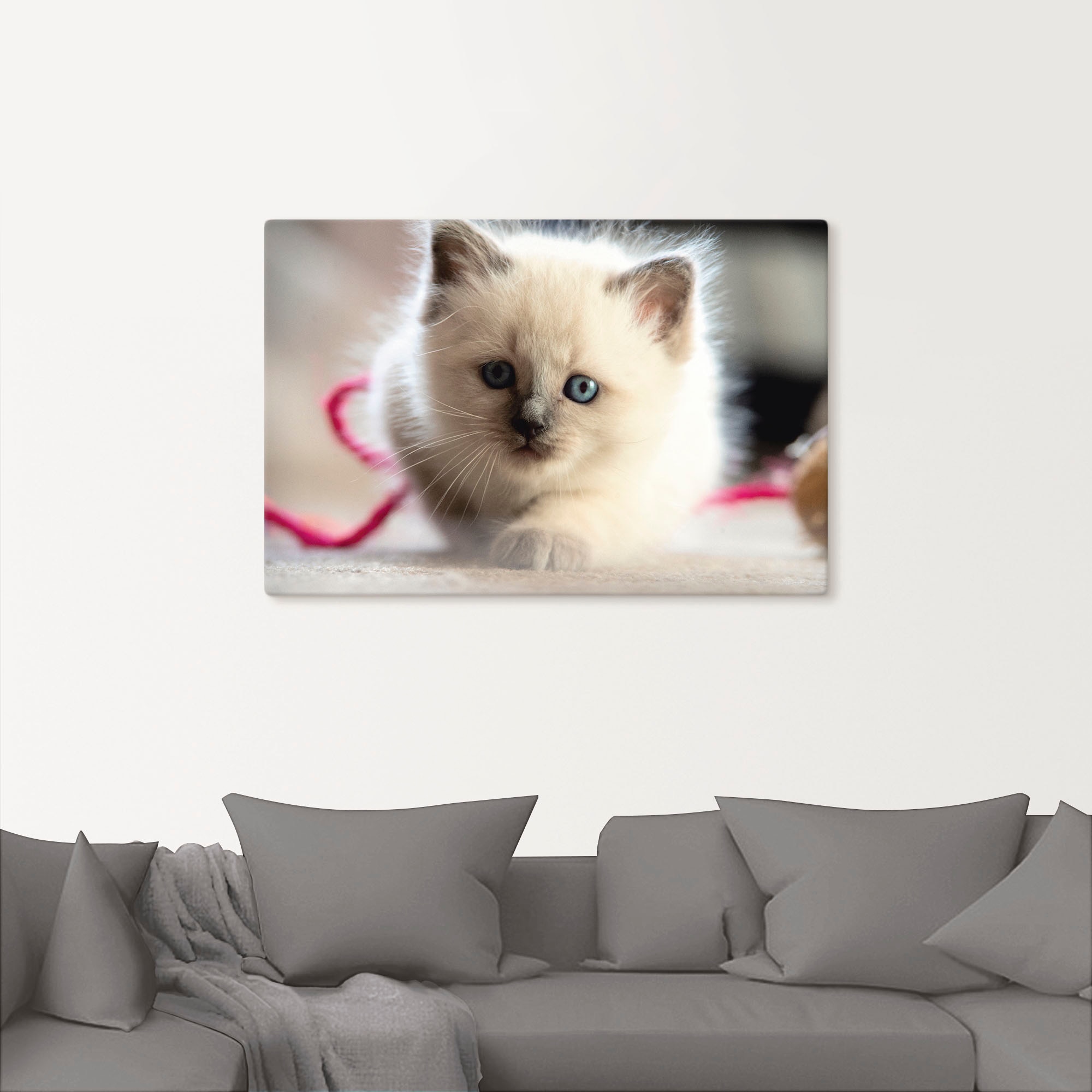 Artland Wandbild Katzenbilder, als in versch. bequem Größen kaufen Leinwandbild, Wandaufkleber Katze Spiel«, St.), Alubild, Poster im Birma oder »Heilige (1