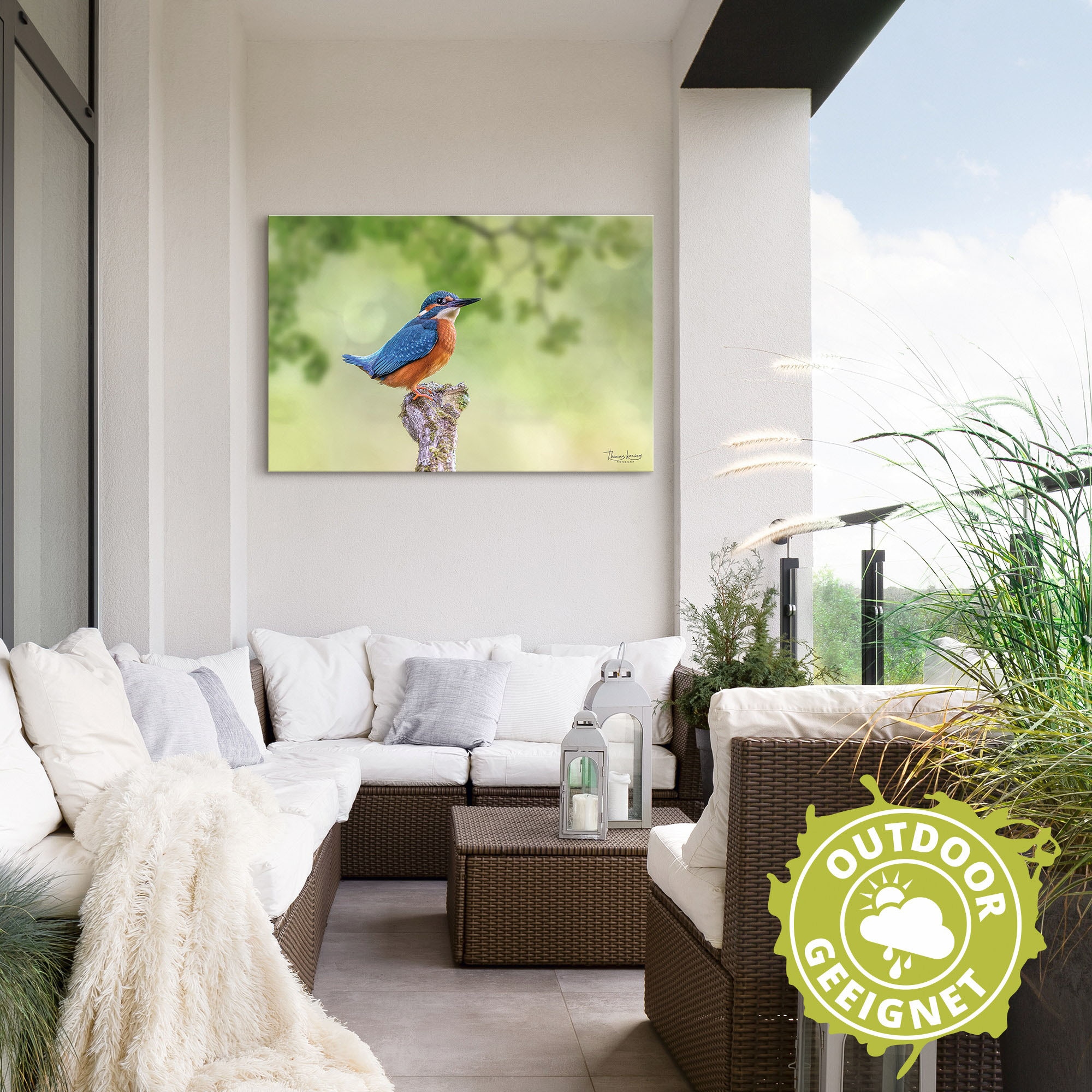 Artland Alu-Dibond-Druck »Eisvogel II« Vogelbilder 1 Stk. tlg. für Innen- und Außenbereich geeignet, Outdoorbild