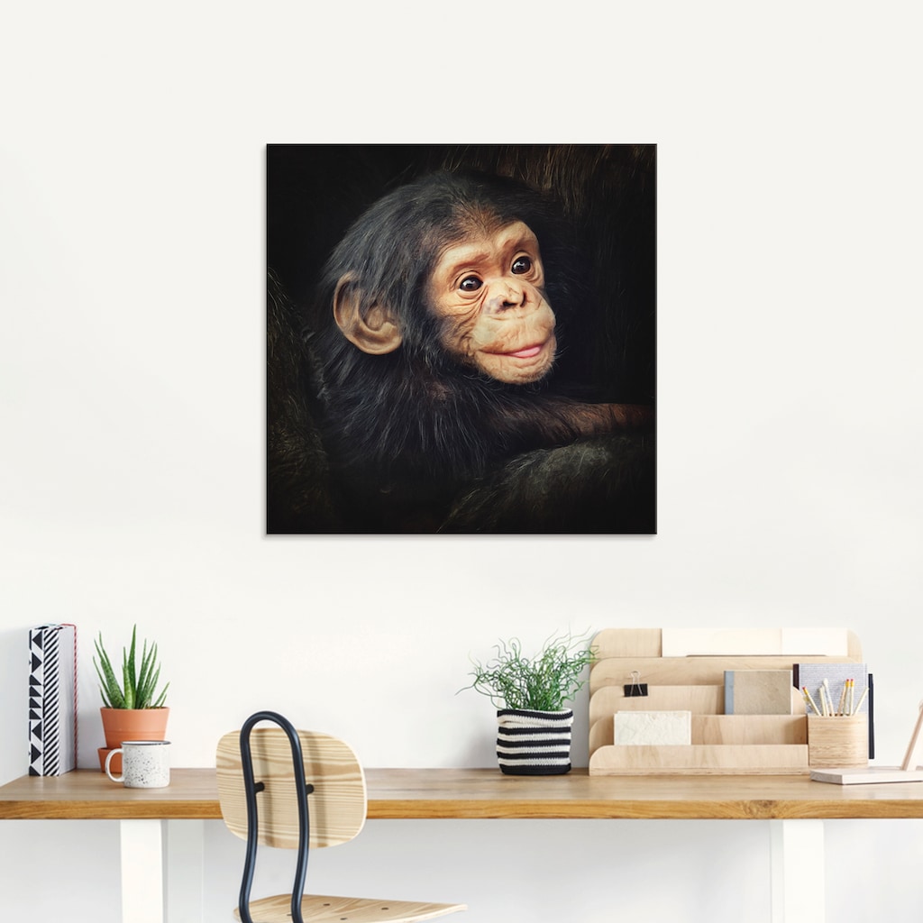 Artland Glasbild »Kleiner Schimpanse«, Wildtiere, (1 St.)