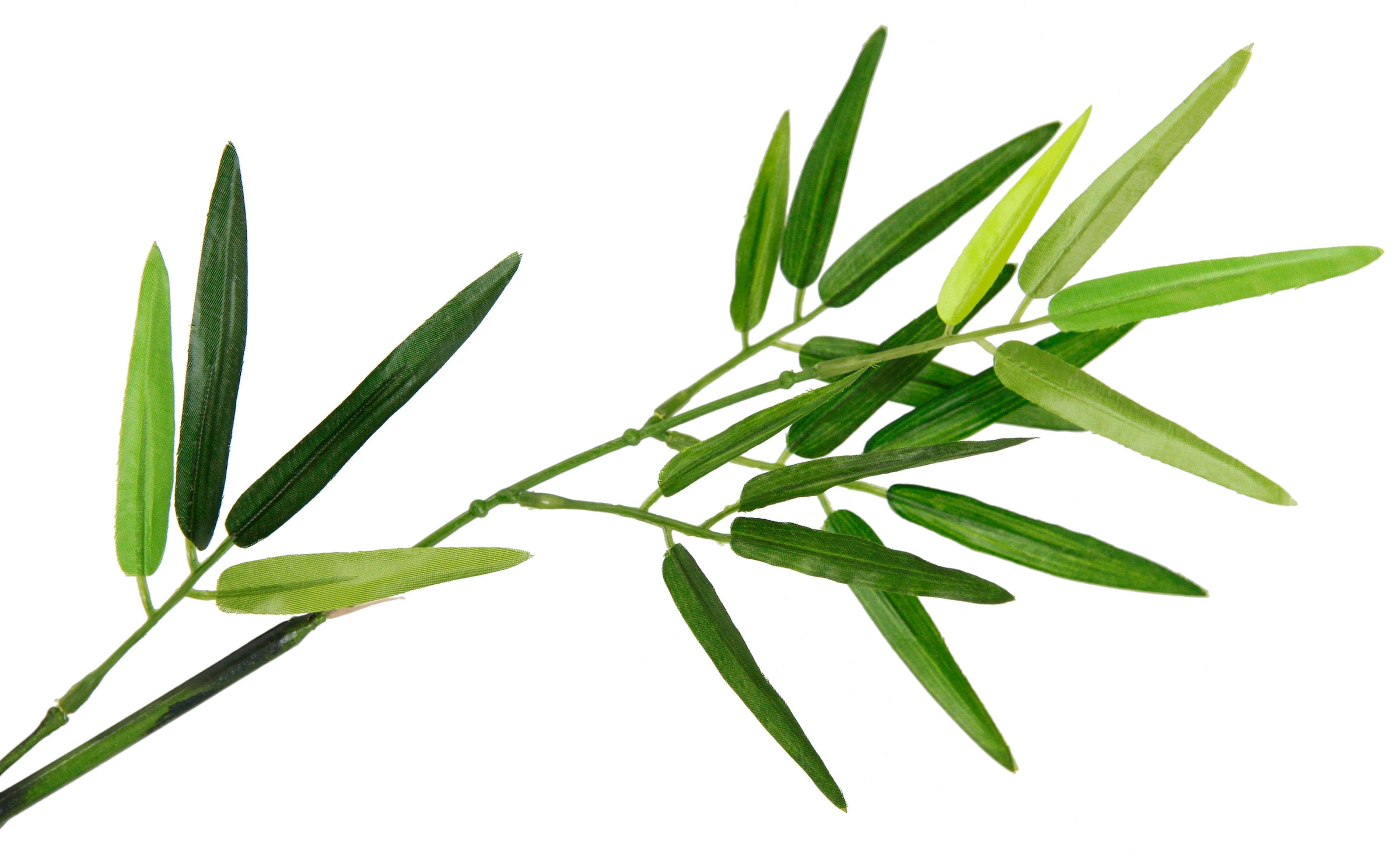I.GE.A. Kunstpflanze »Bambuszweig«, Dekozweig, groß Raten auf bestellen Set 3er