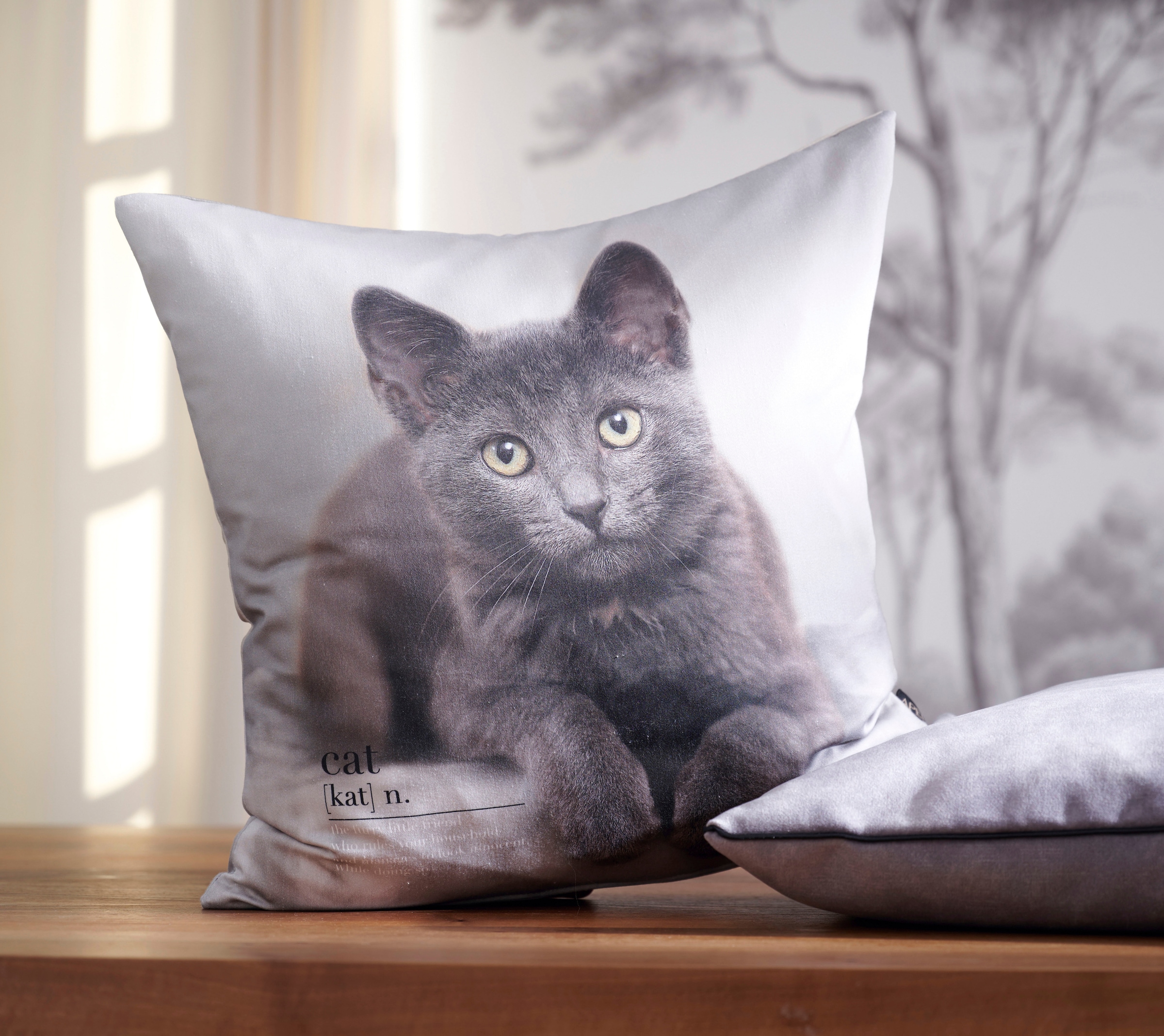 APELT Dekokissen »6870«