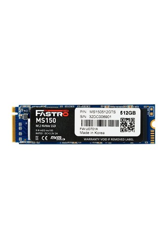 SSD-Festplatte »MS150-512GTS«, M,2 Zoll kaufen