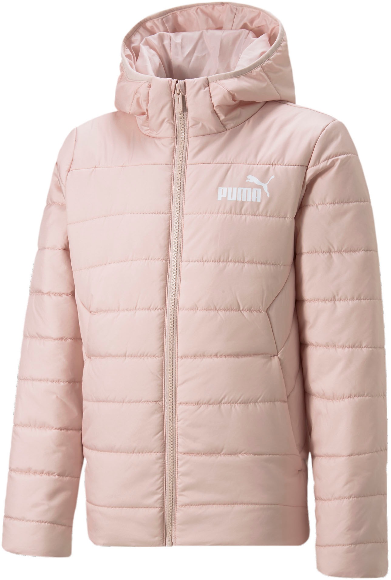 PUMA Winterjacke »ESS HOODED PADDED JACKET«, mit Kapuze