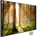 Papermoon Infrarotheizung »EcoHeat - Autumn Pine Forest«, Aluminium, 600 W, 60 x 100 cm, mit Rahmen