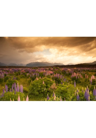 Fototapete »GEBIRGE-FLUSS SEE BERGE WALD HIMMEL BACH WIESE BLUMEN«