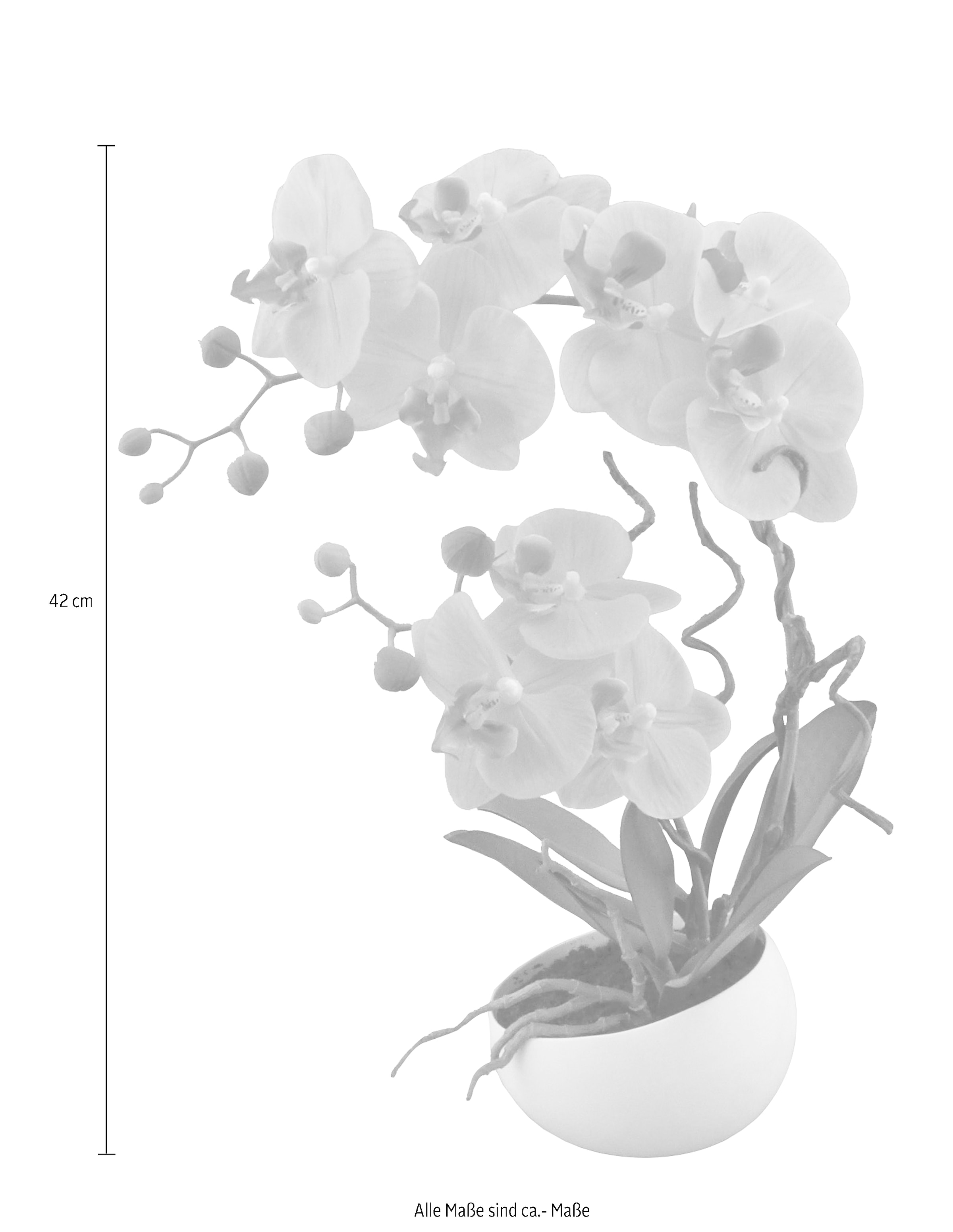 | Kunstpflanze XXL green 3 online Jahren kaufen Creativ »Orchidee« mit Garantie